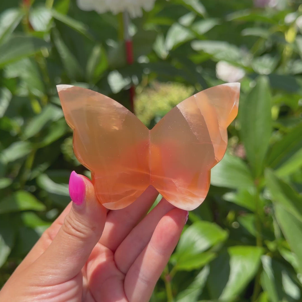 Honey Calcite Butterfly (Choose Your Own)