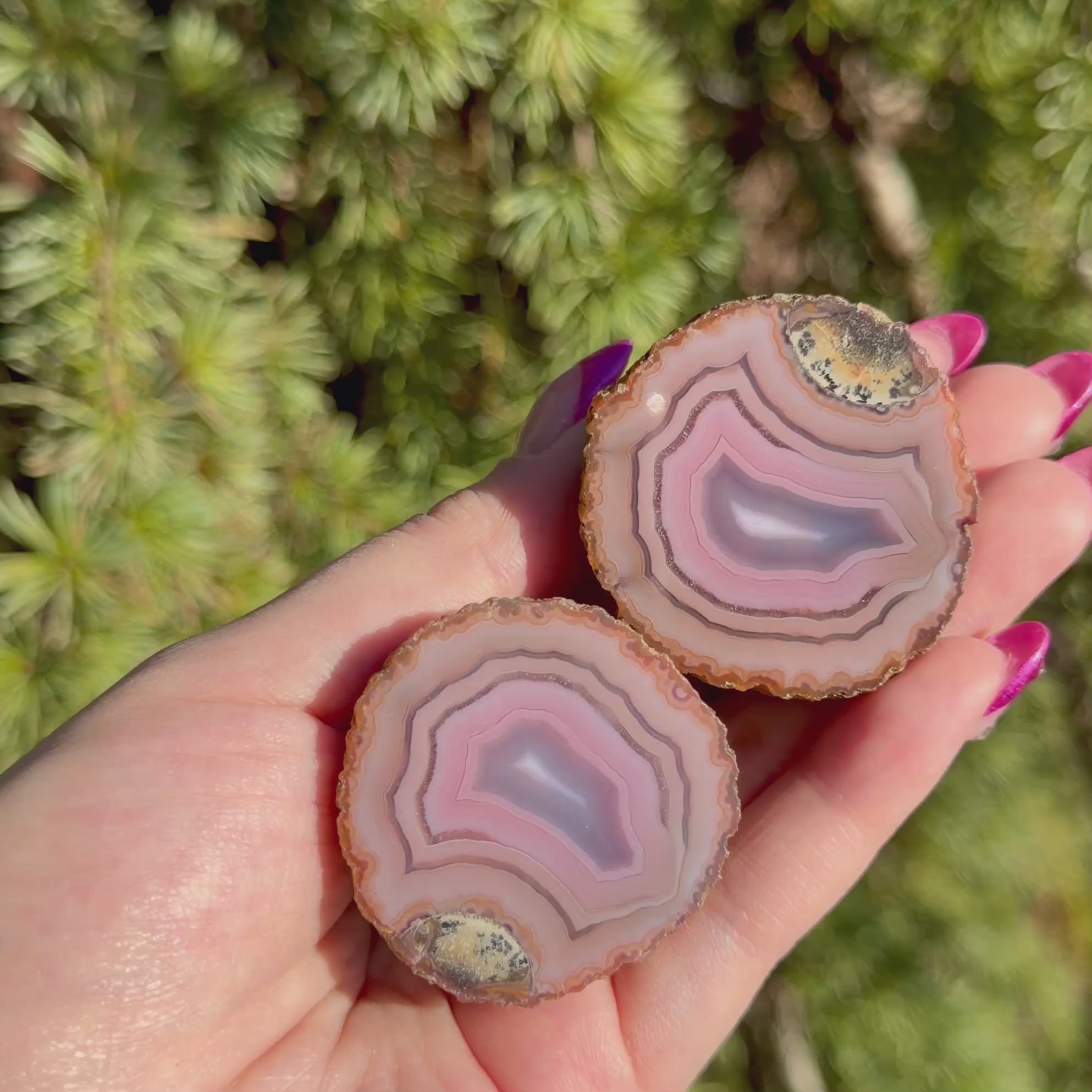 Zhanguo Agate Pair D