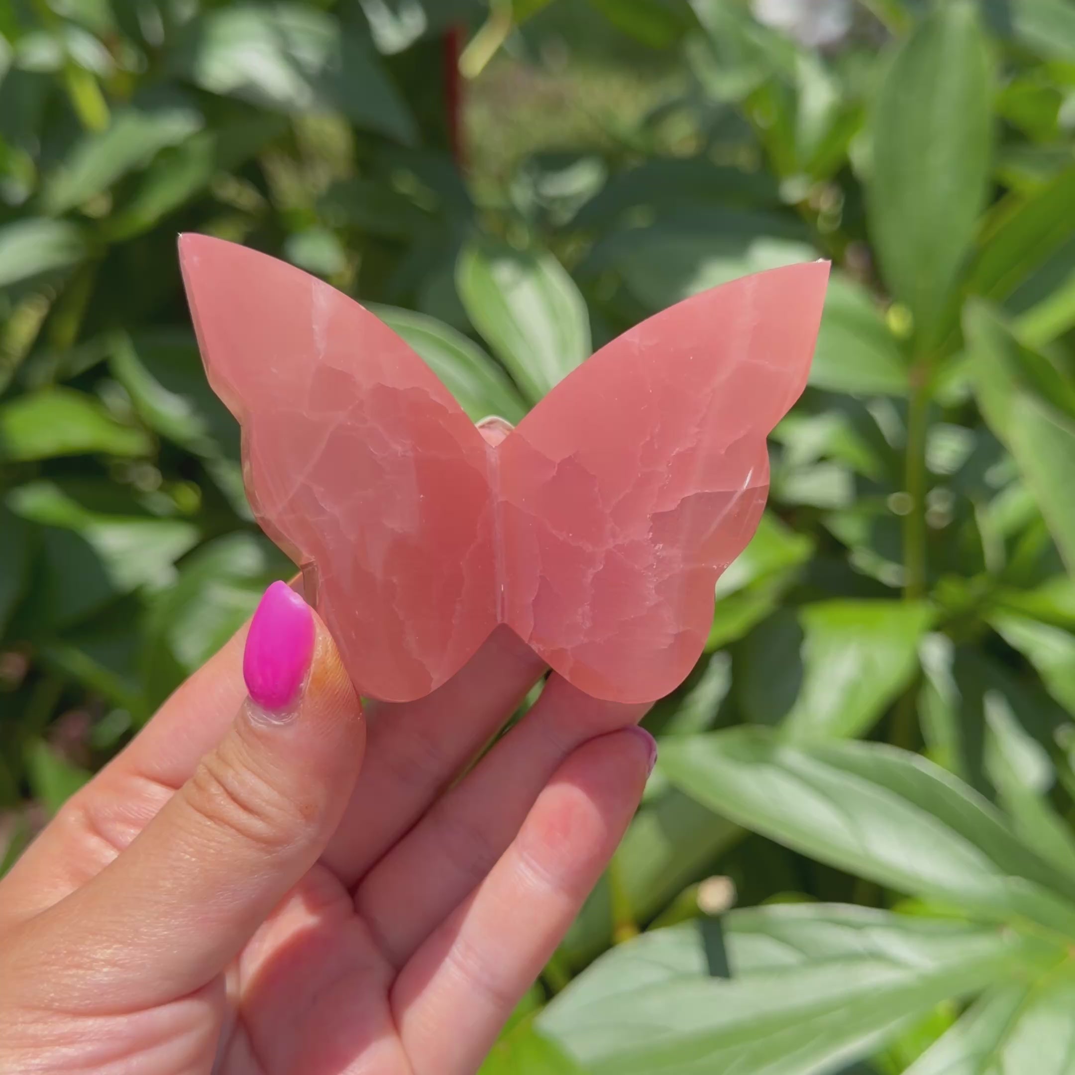 Rose Calcite Butterfly (Choose Your Own)
