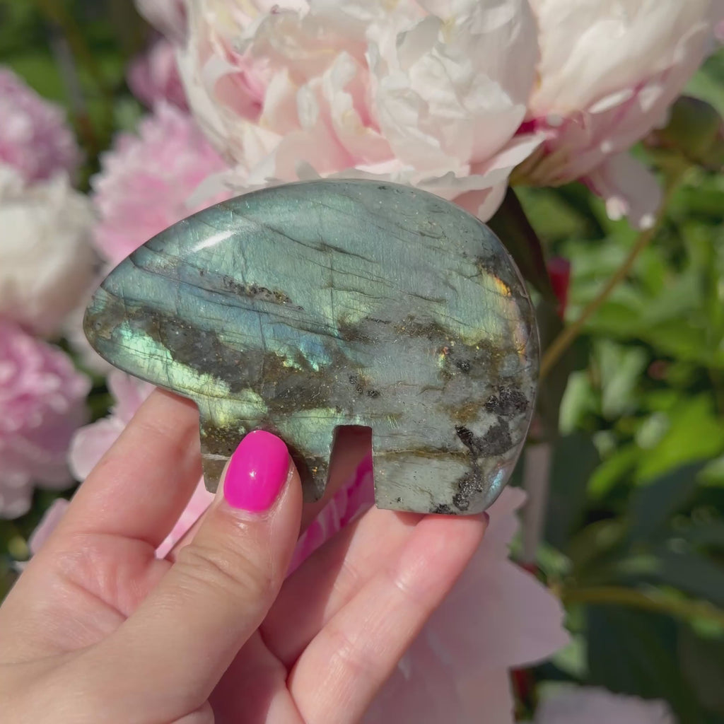 Labradorite Bears (Choose Your Own)