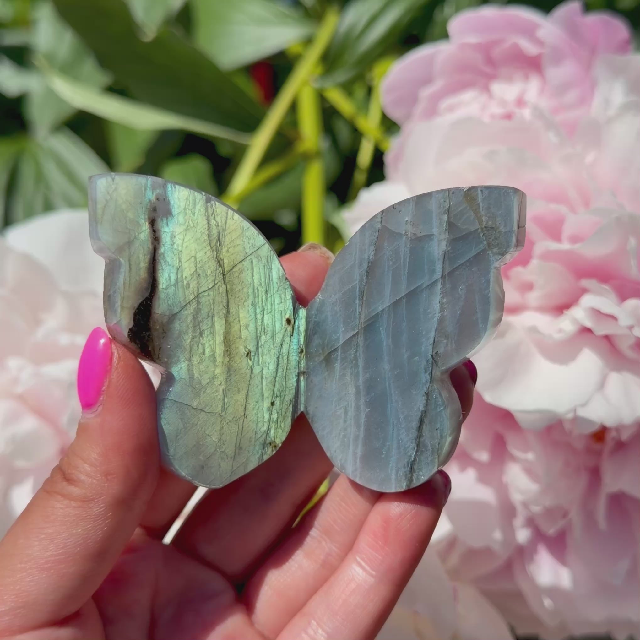 Labradorite Butterfly (Choose Your Own)
