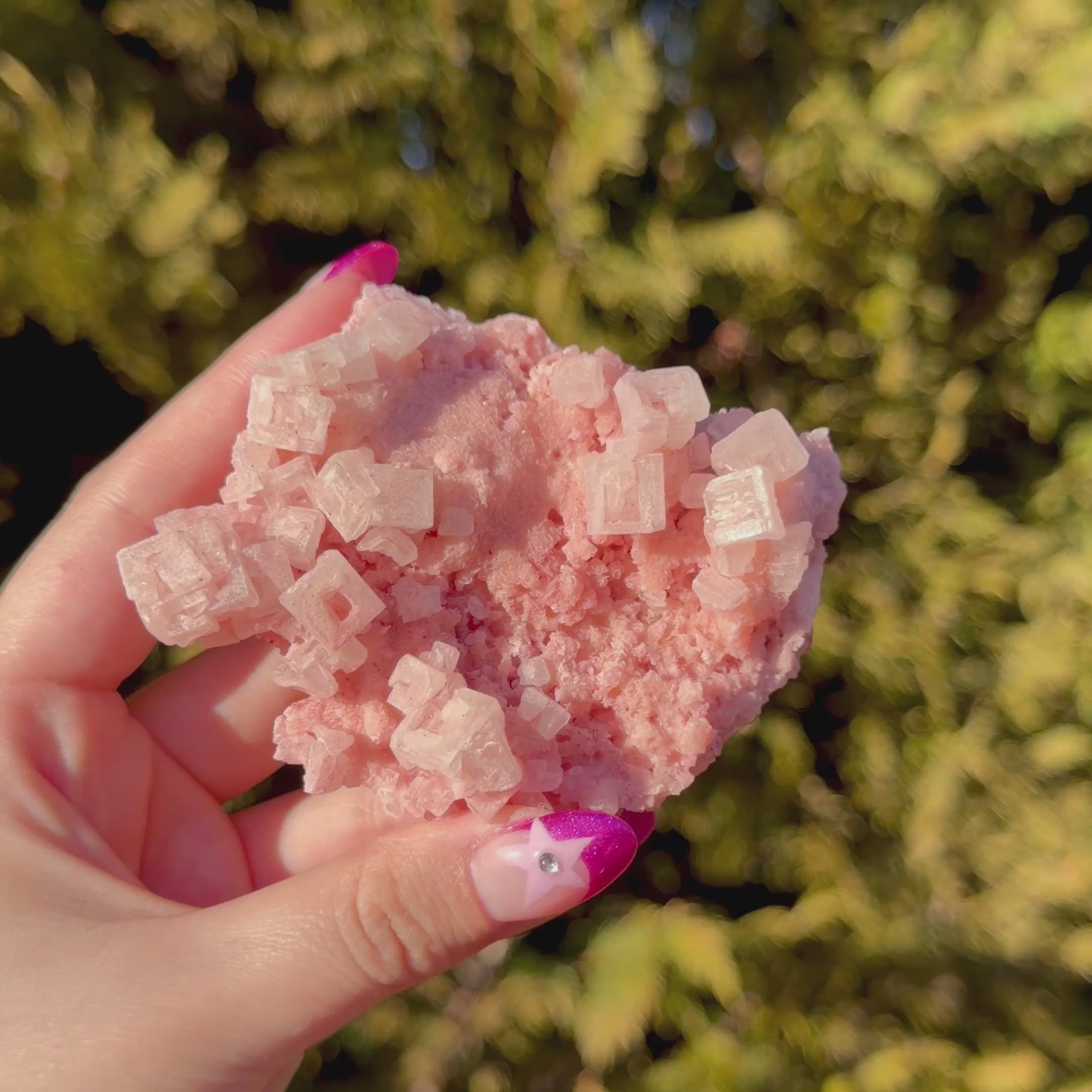 Pink Halite Crystal Cluster A