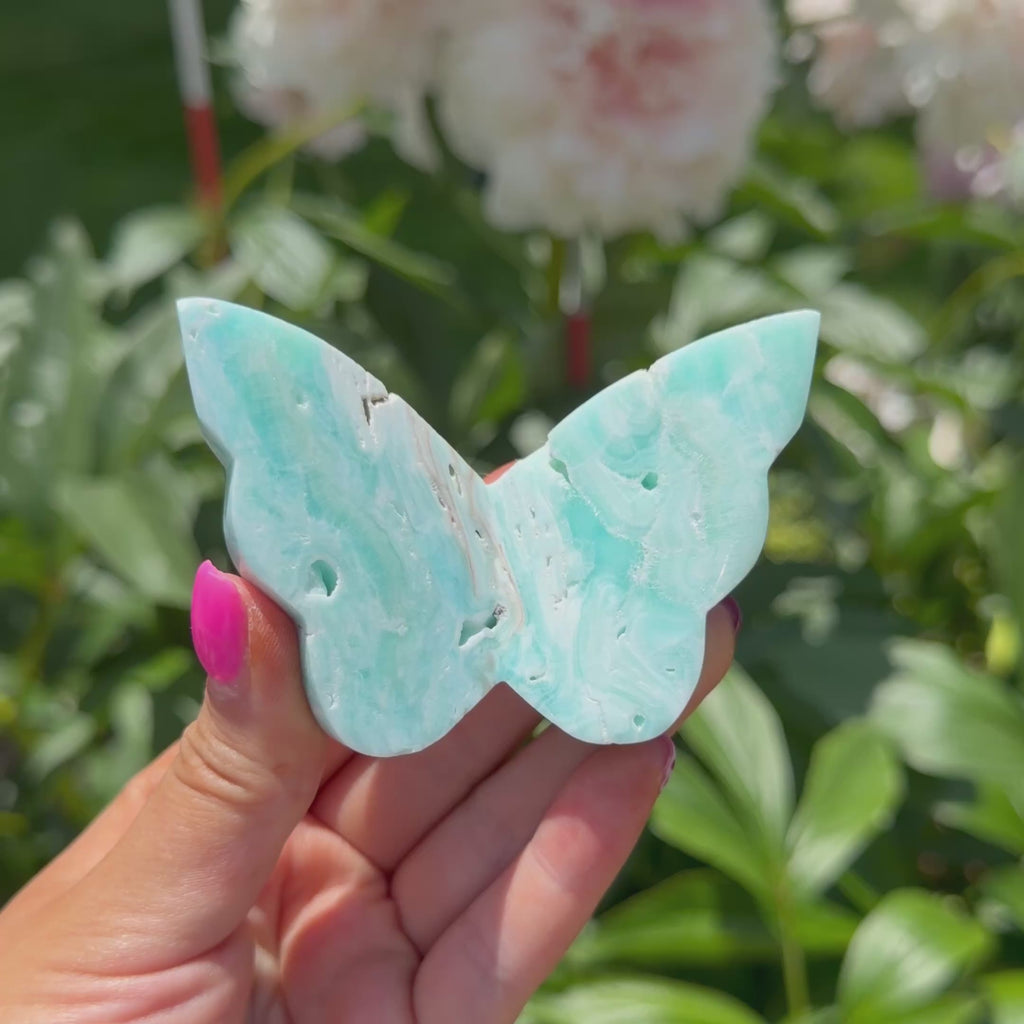 Blue Aragonite Butterfly (Choose Your Own)