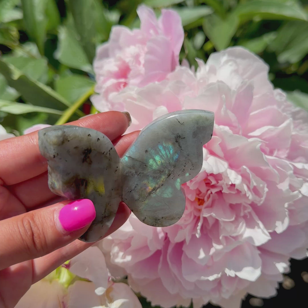 Labradorite Butterfly (Choose Your Own)