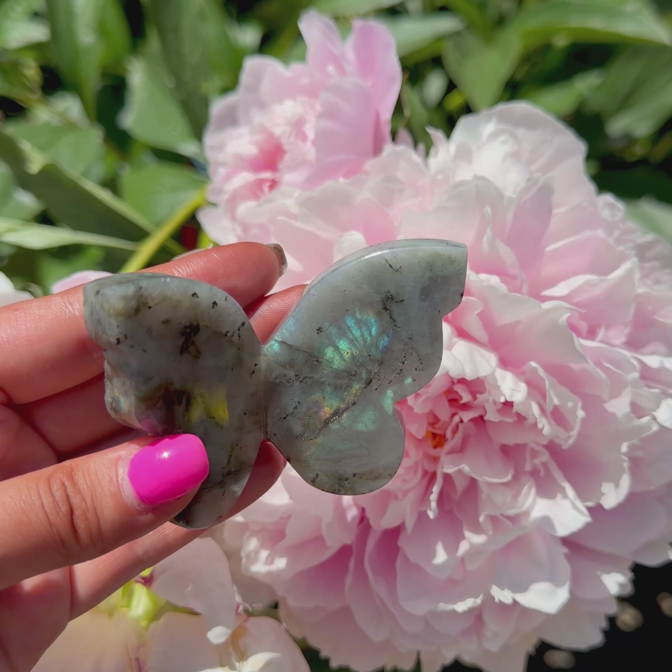 Labradorite Butterfly (Choose Your Own)