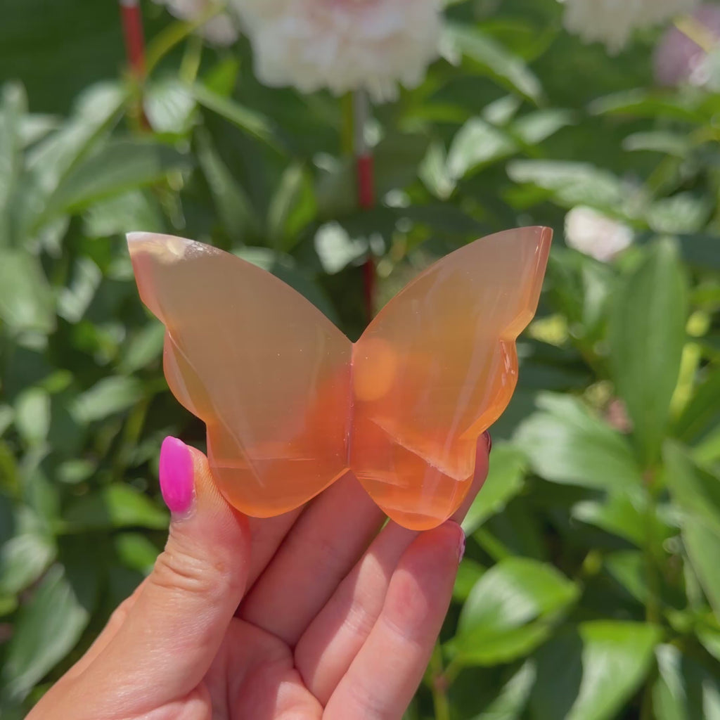 Honey Calcite Butterfly (Choose Your Own)