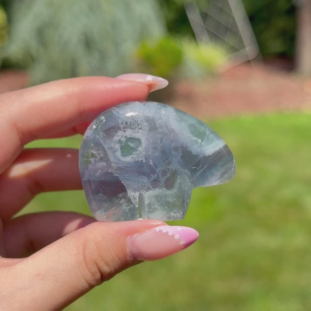 Durango Fluorite Mini Bear (Choose Your Own)