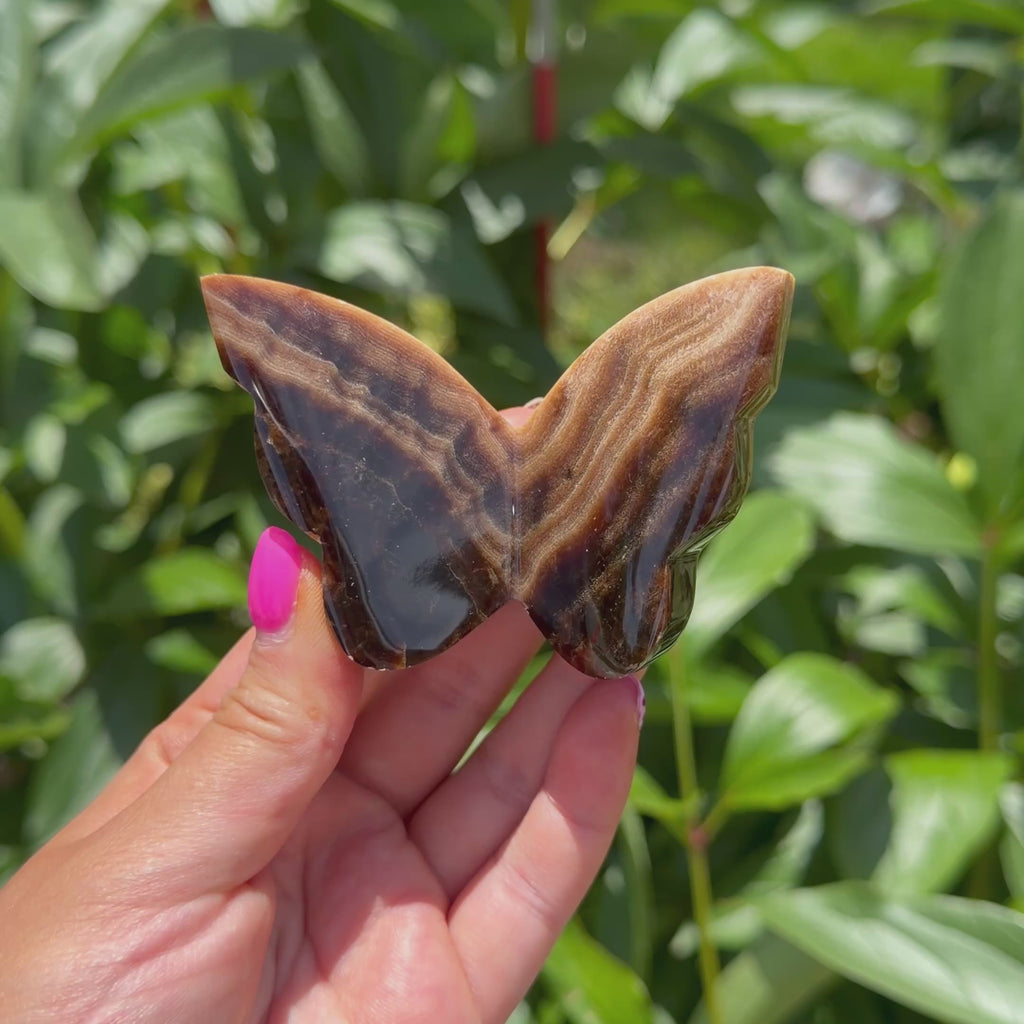 Chocolate Calcite Butterfly (Choose Your Own)