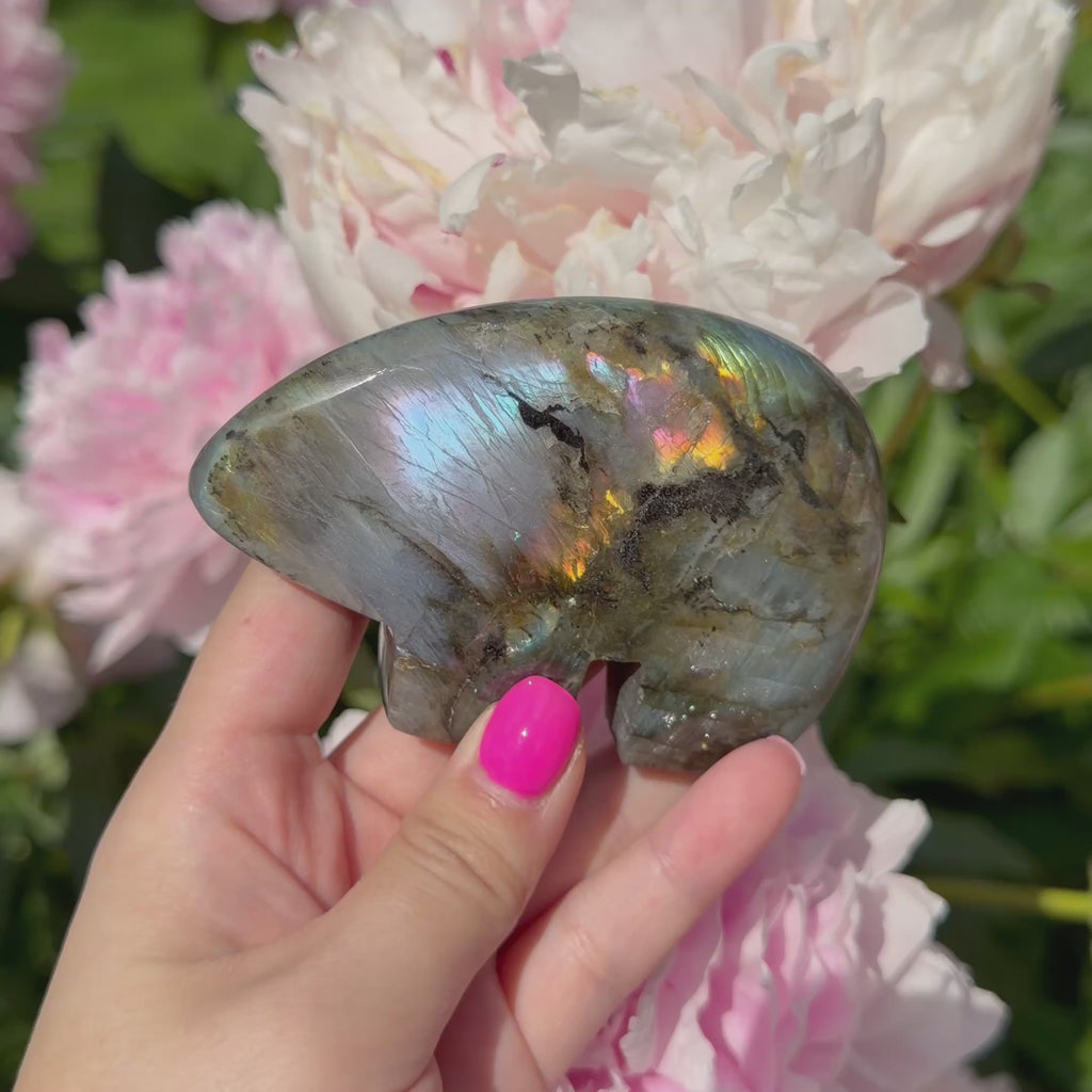 Labradorite Bears (Choose Your Own)