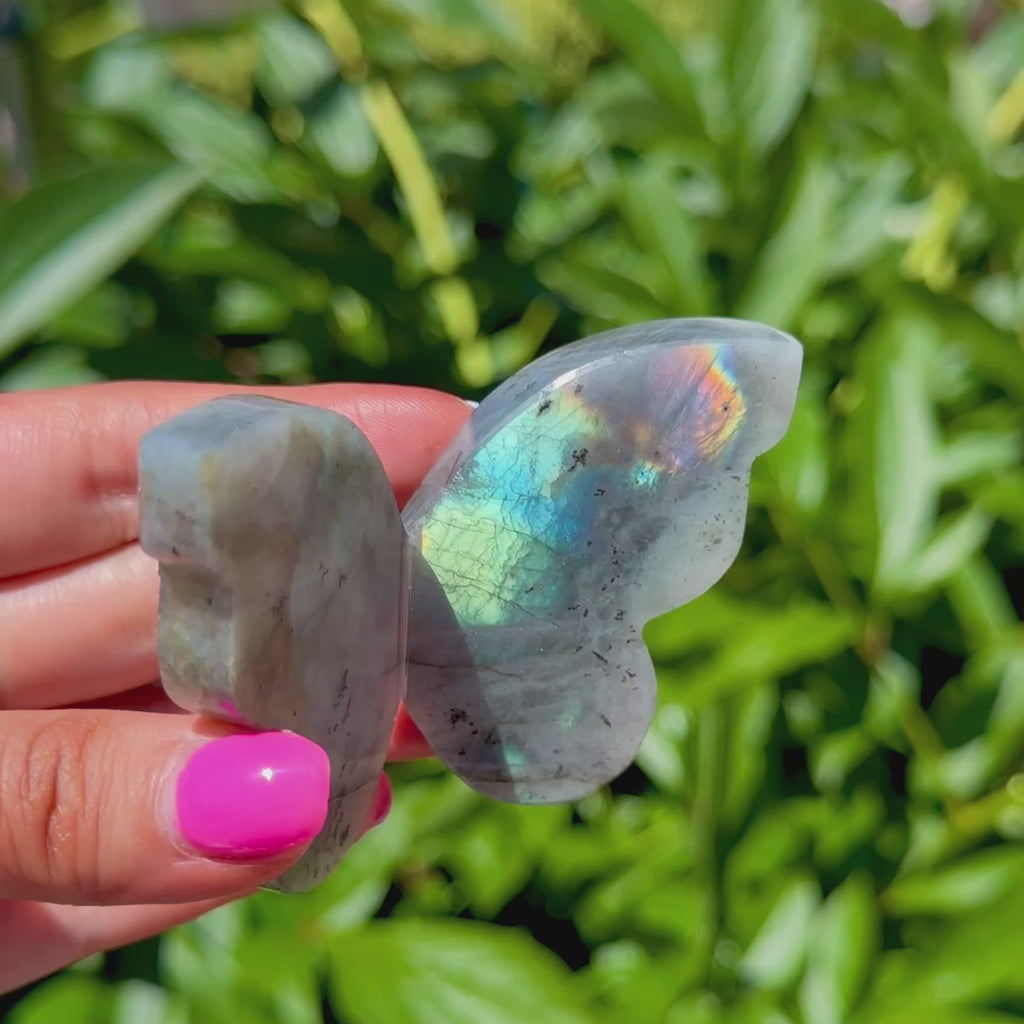 Labradorite Butterfly (Choose Your Own)