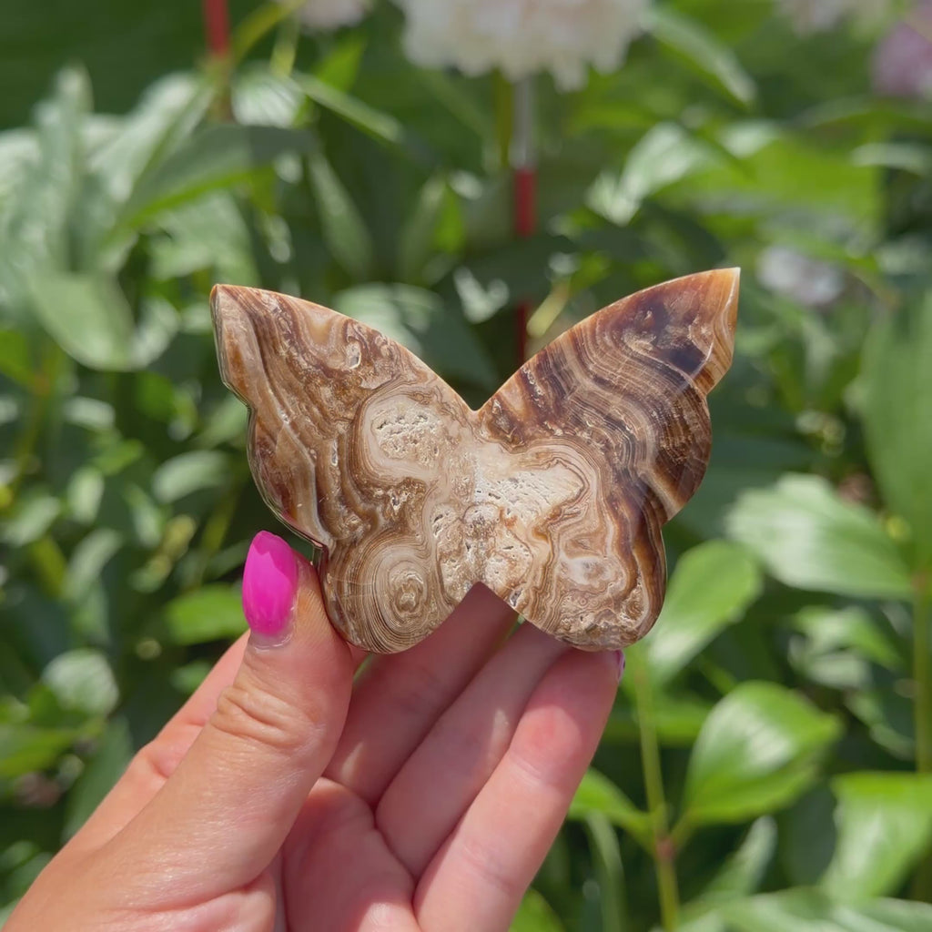 Chocolate Calcite Butterfly (Choose Your Own)