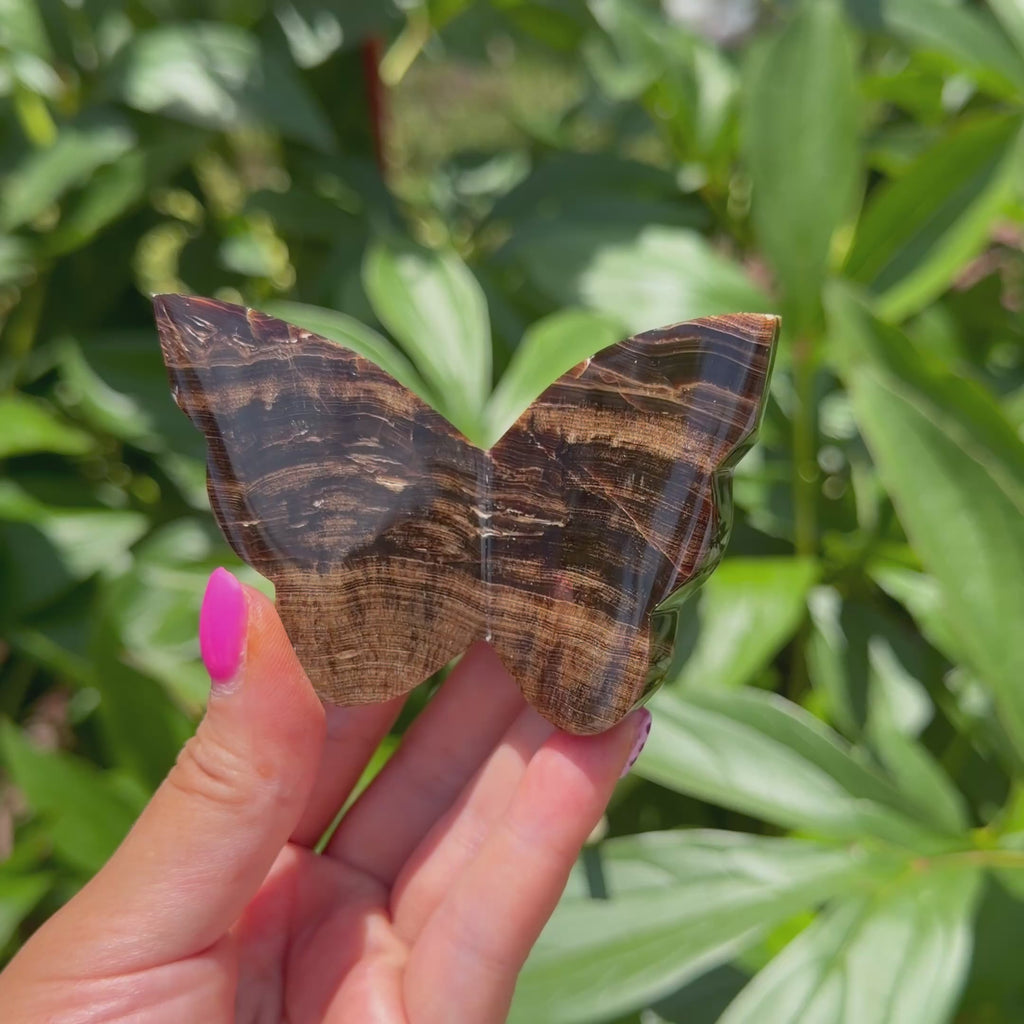 Chocolate Calcite Butterfly (Choose Your Own)