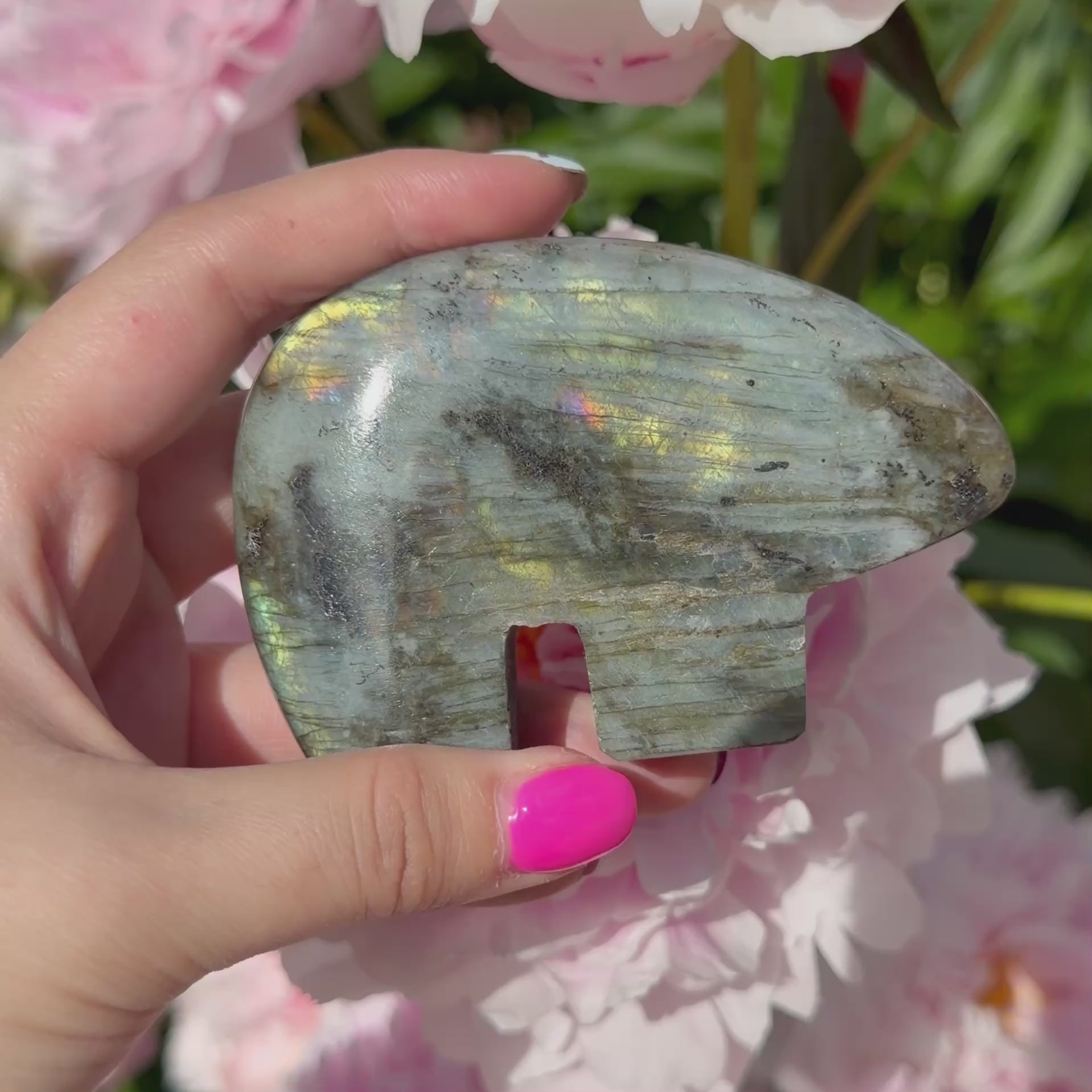 Labradorite Bears (Choose Your Own)