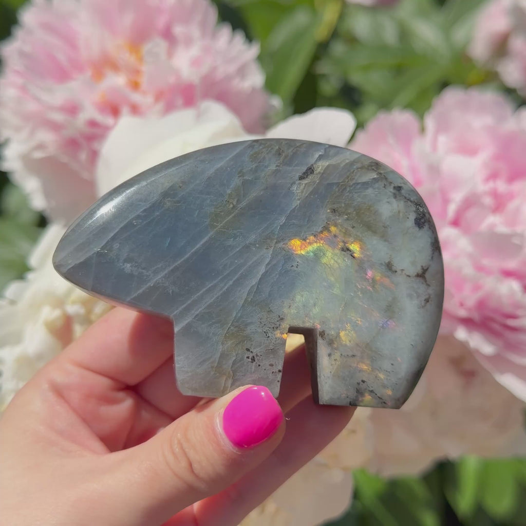 Labradorite Bears (Choose Your Own)