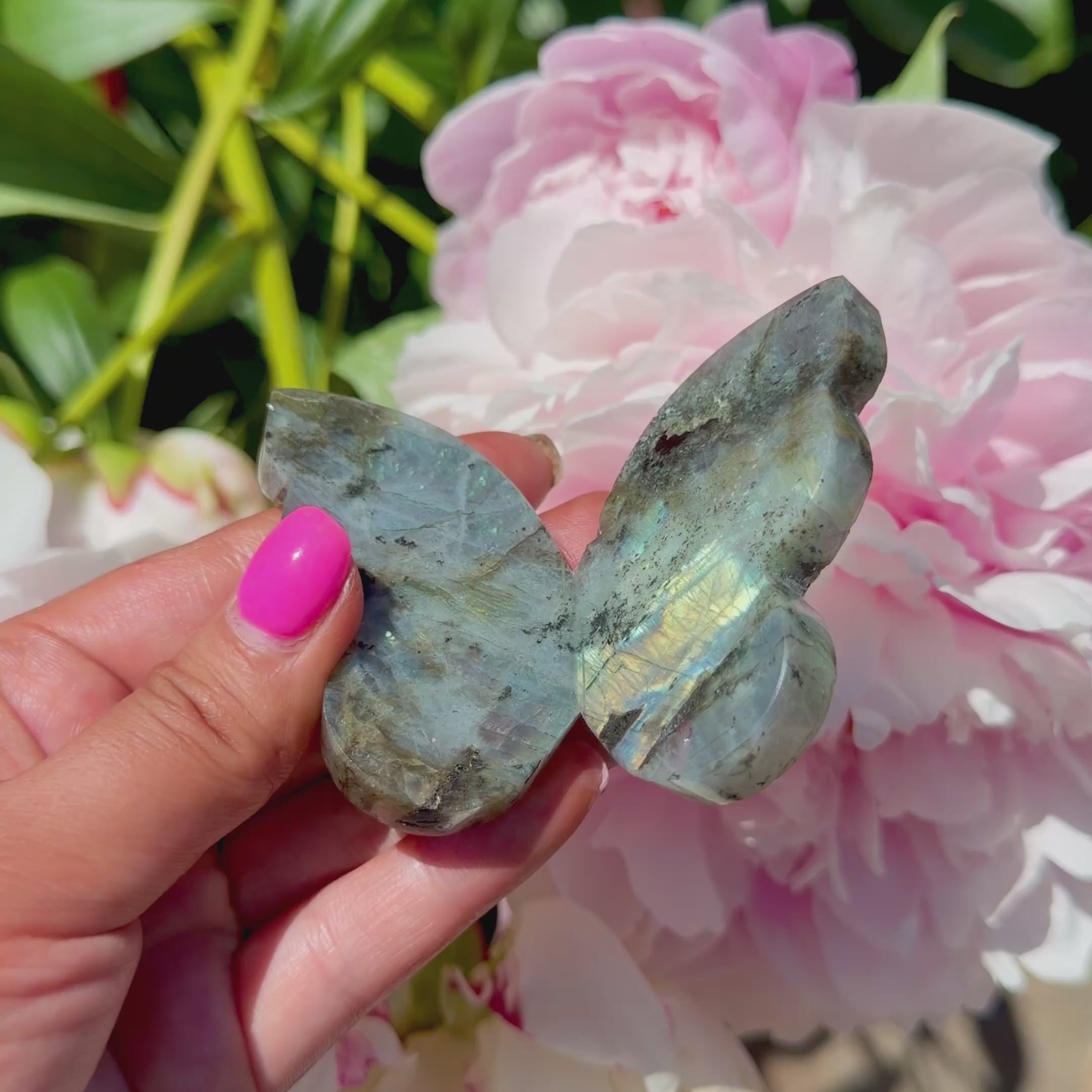 Labradorite Butterfly (Choose Your Own)