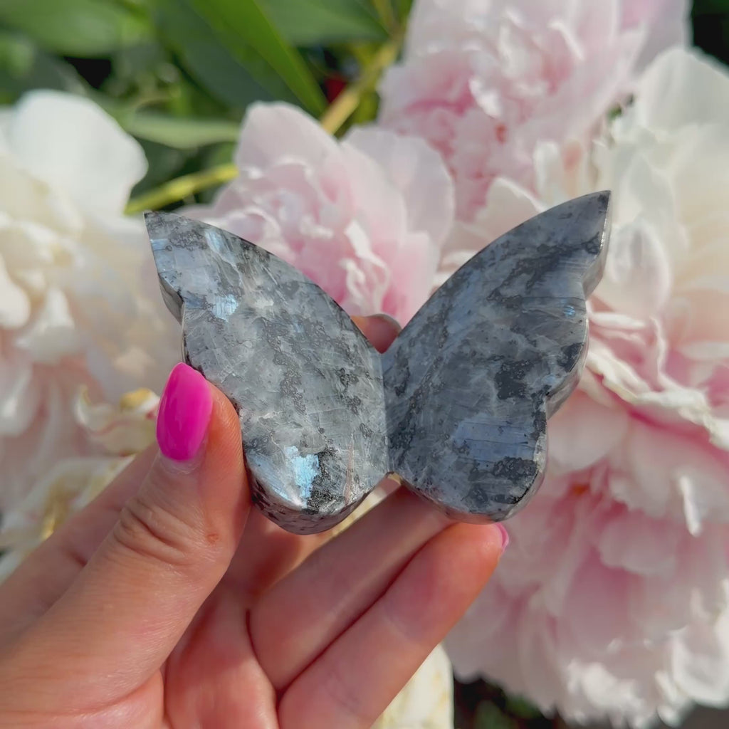 Larvikite Butterfly (Intuitively Picked)