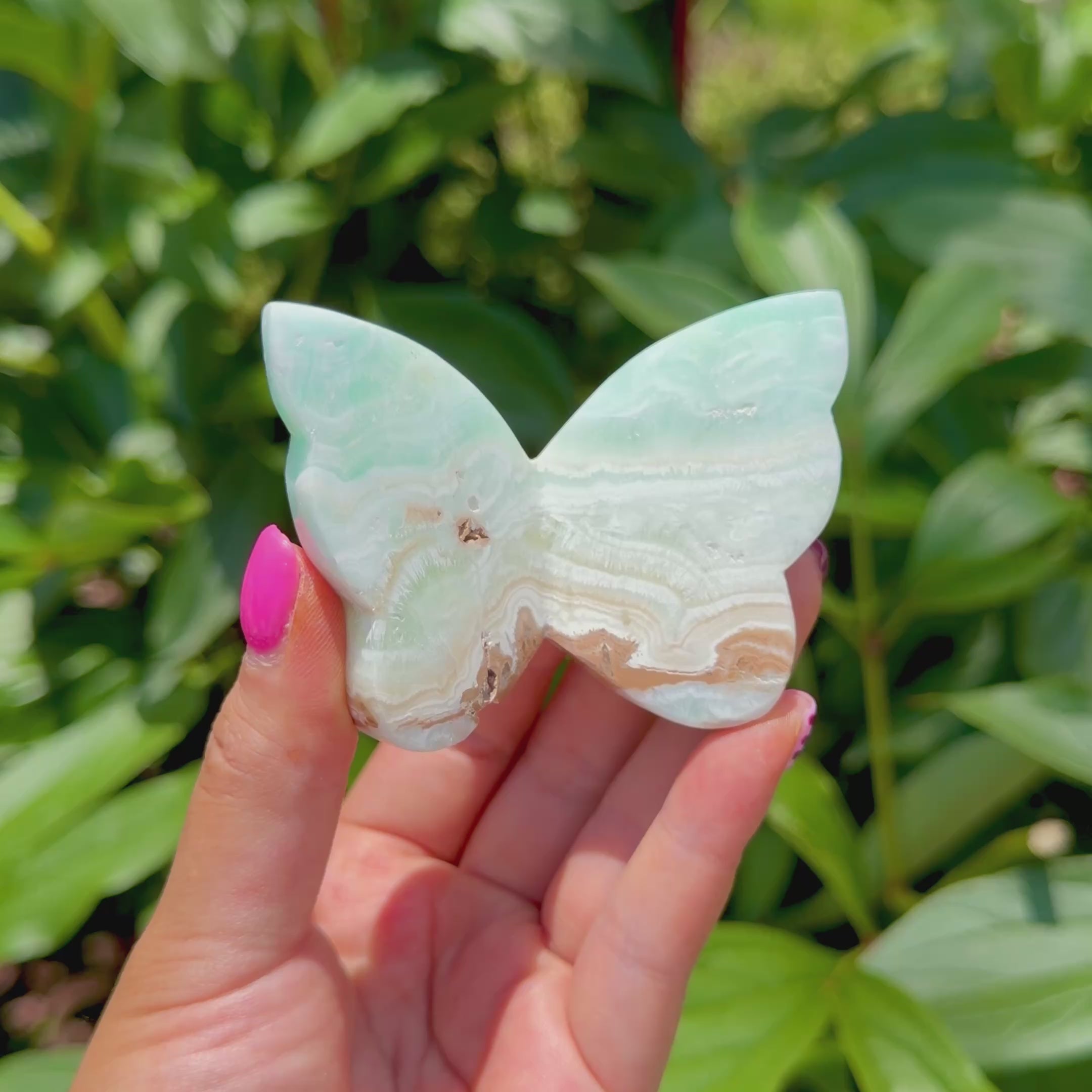 Caribbean Calcite Butterfly (Choose Your Own)