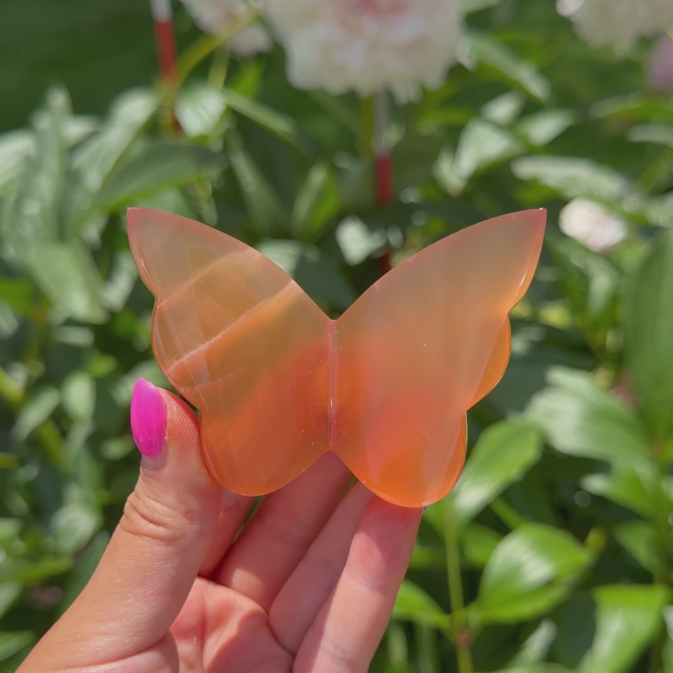 Honey Calcite Butterfly (Choose Your Own)