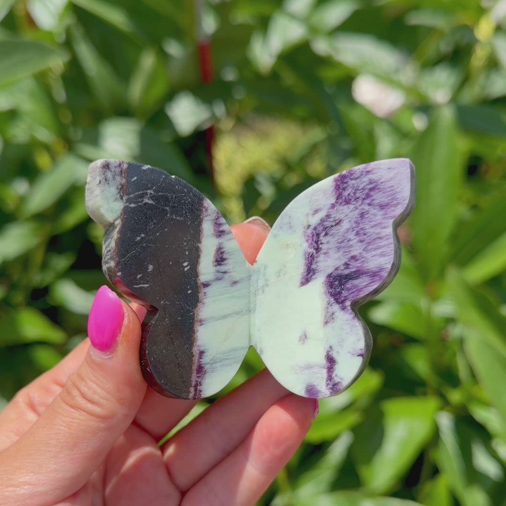 Kammererite Butterfly (Choose Your Own