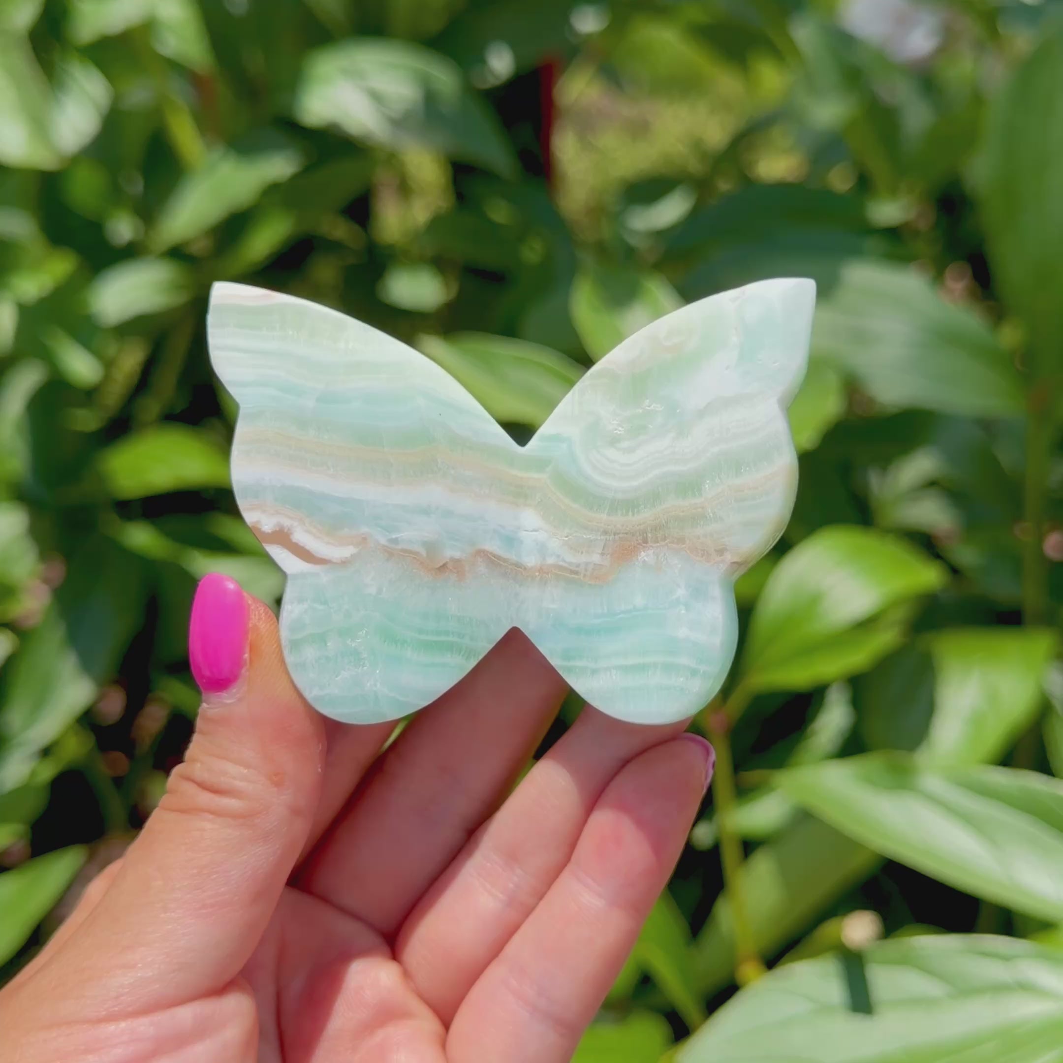 Caribbean Calcite Butterfly (Choose Your Own)