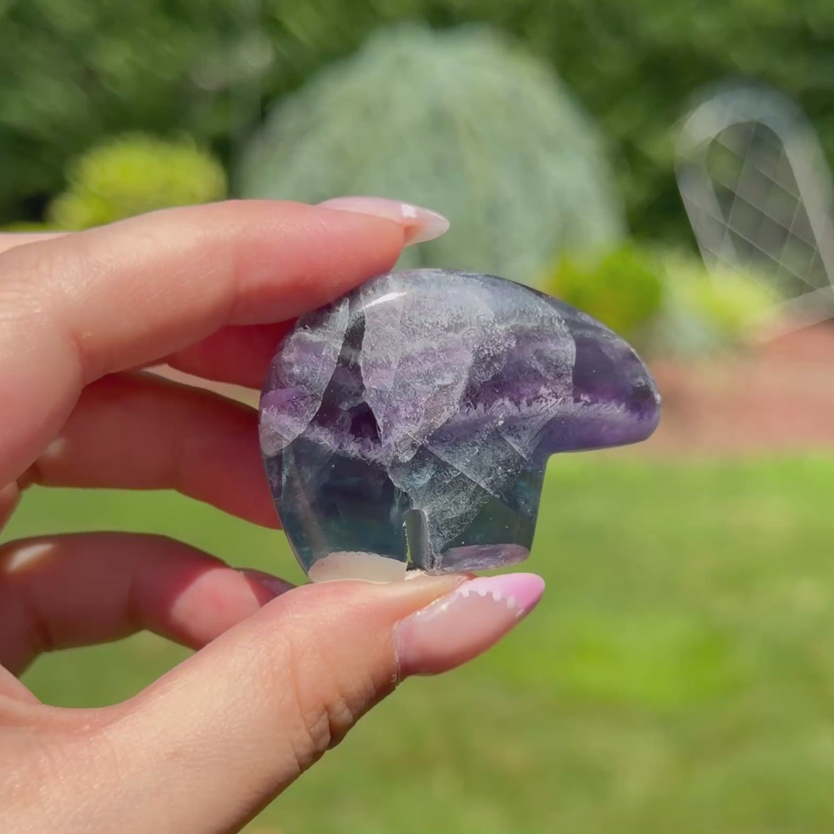 Durango Fluorite Mini Bear (Choose Your Own)