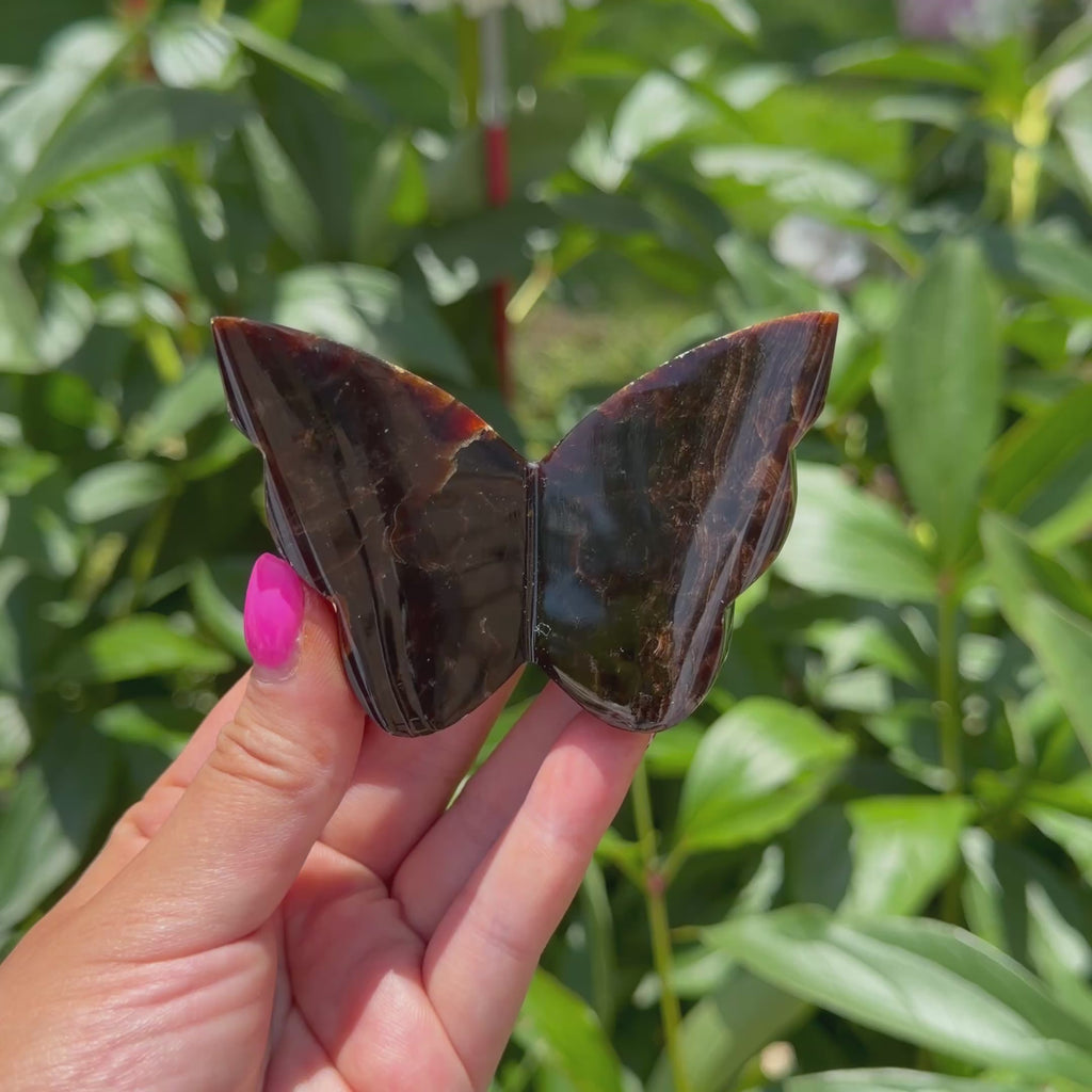 Chocolate Calcite Butterfly (Choose Your Own)