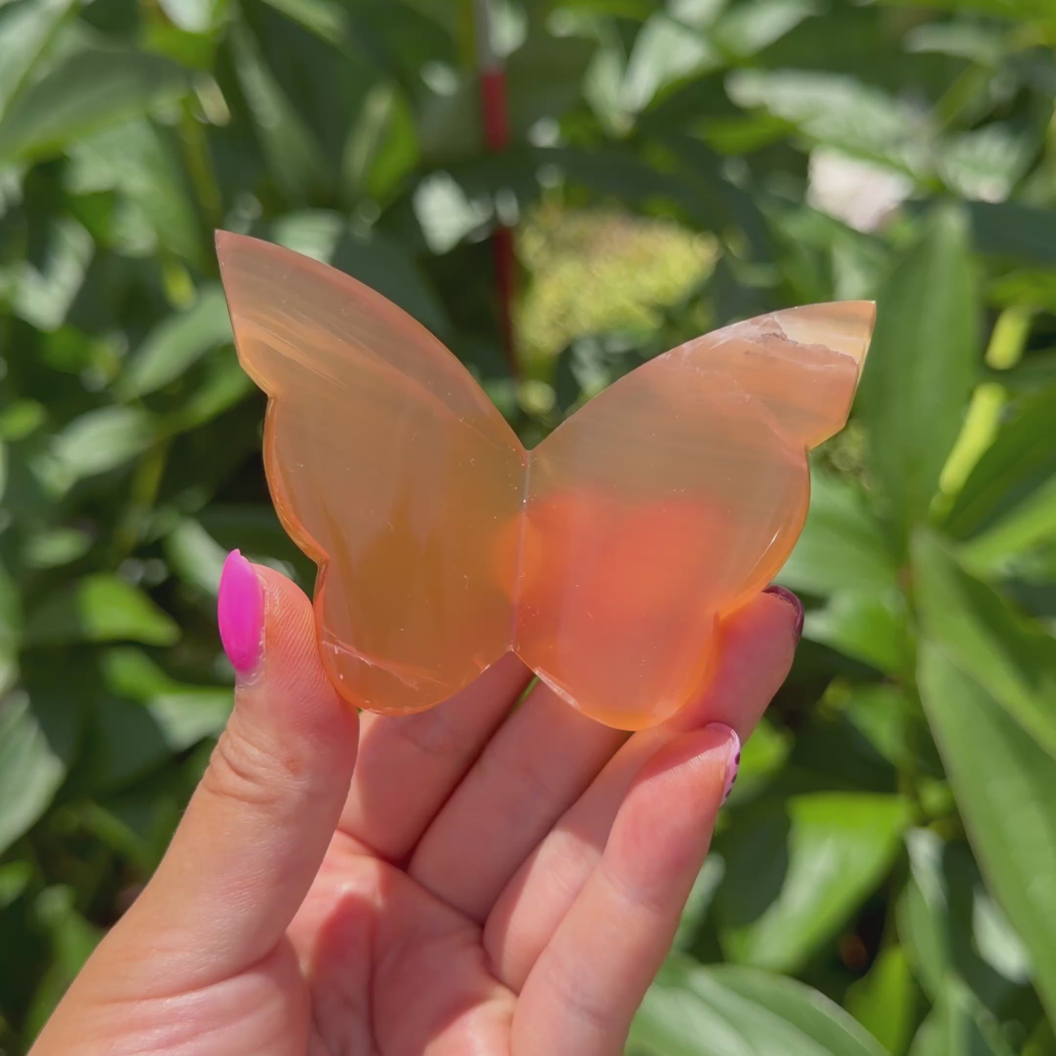 Honey Calcite Butterfly (Choose Your Own)