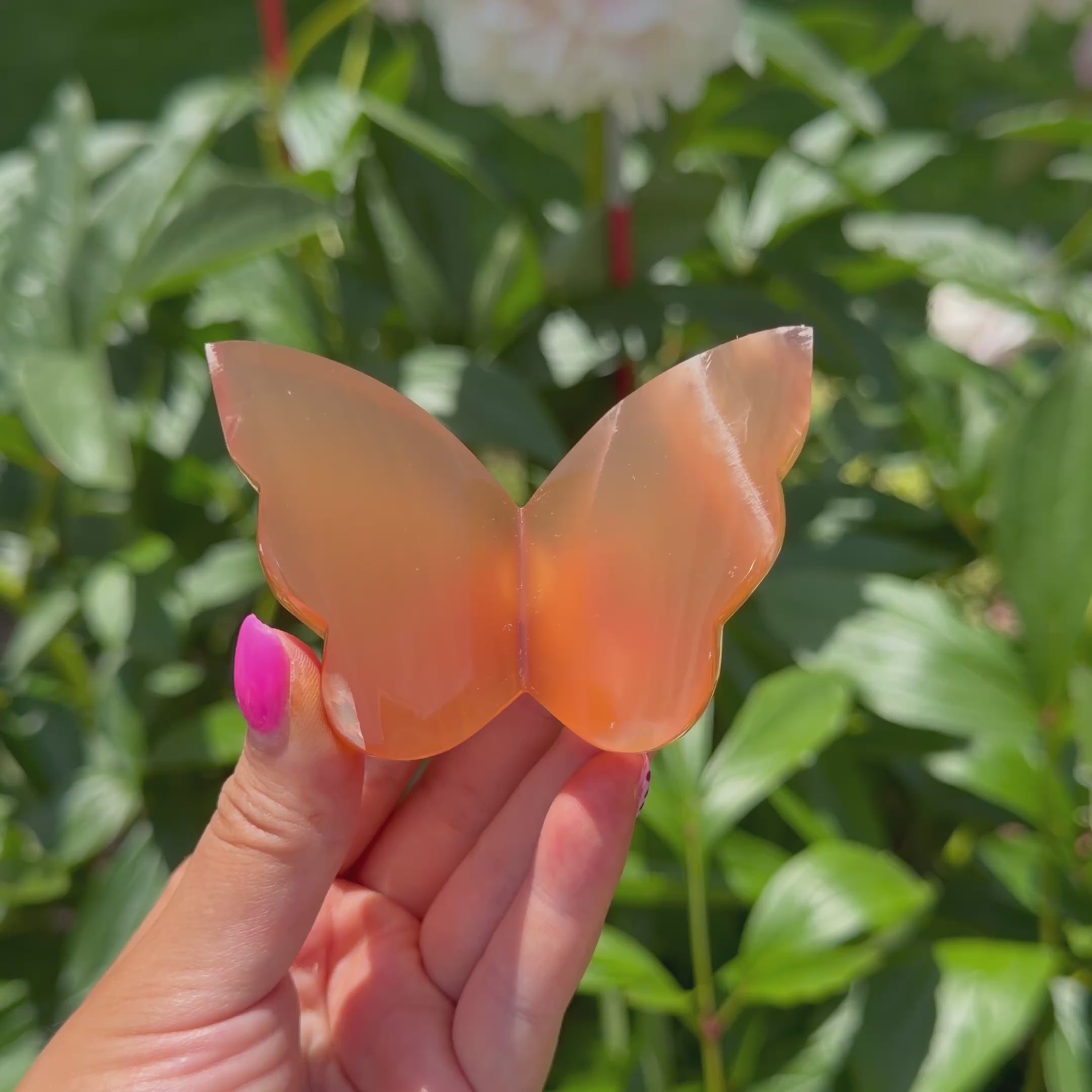 Honey Calcite Butterfly (Choose Your Own)