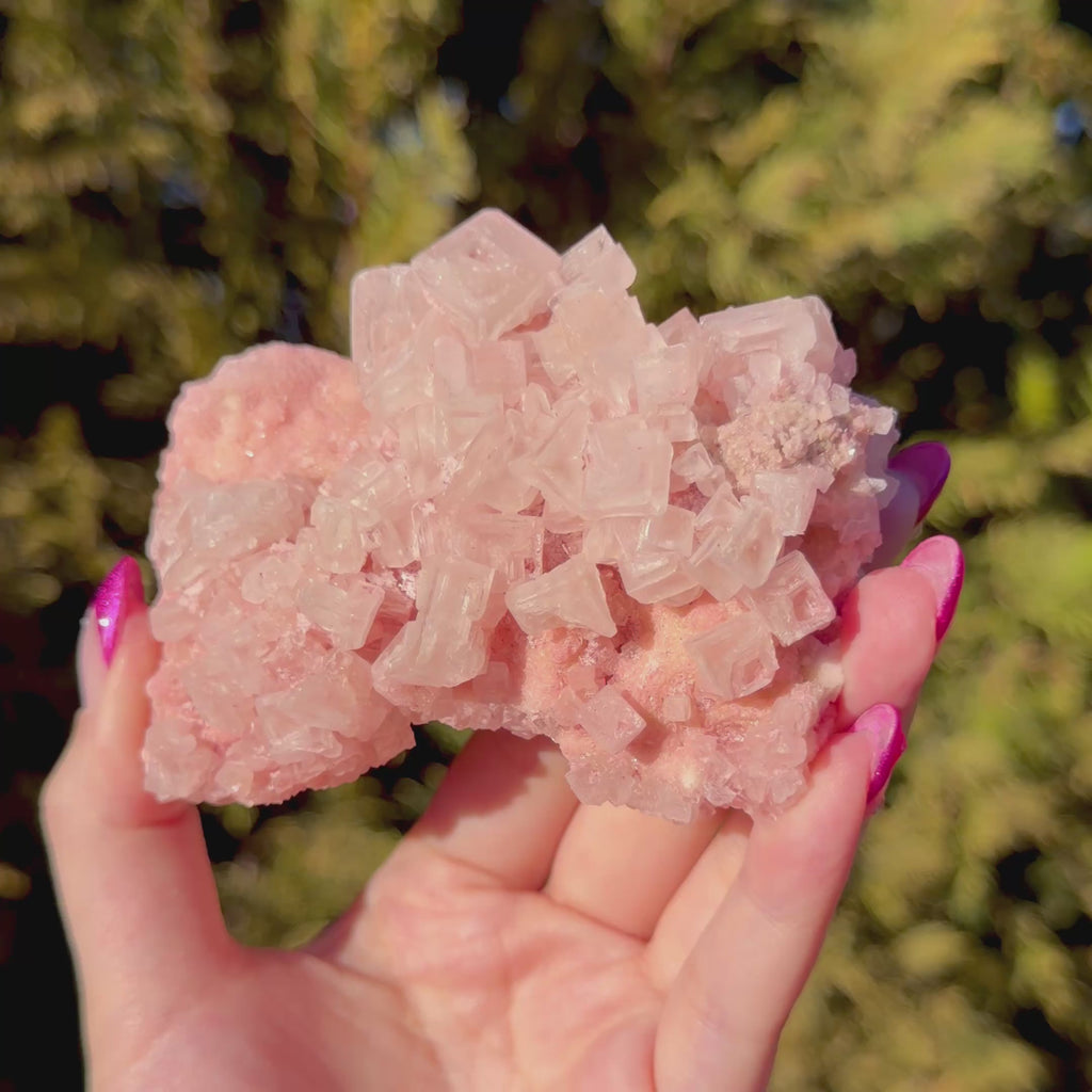 Pink Halite Crystal Cluster D
