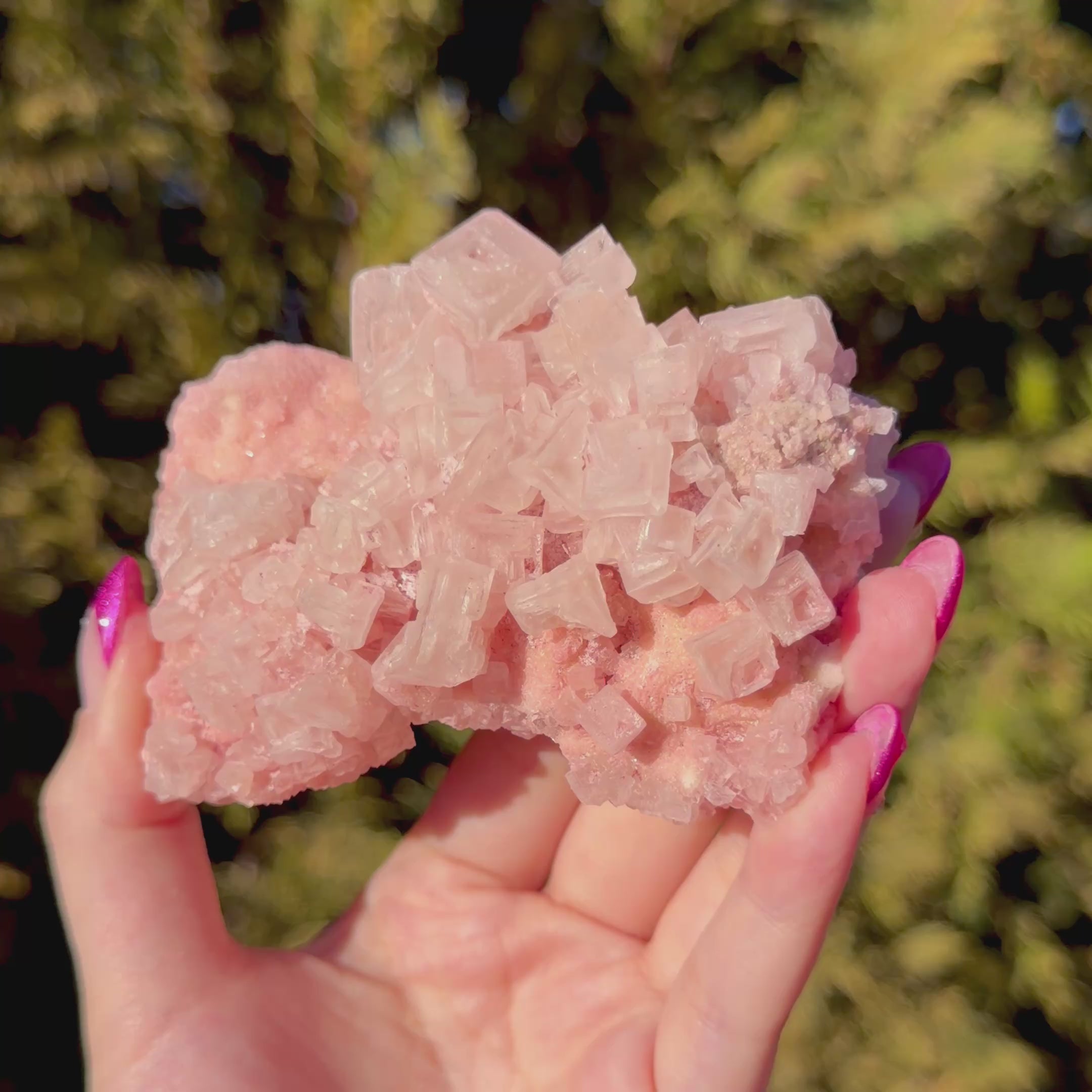 Pink Halite Crystal Cluster D