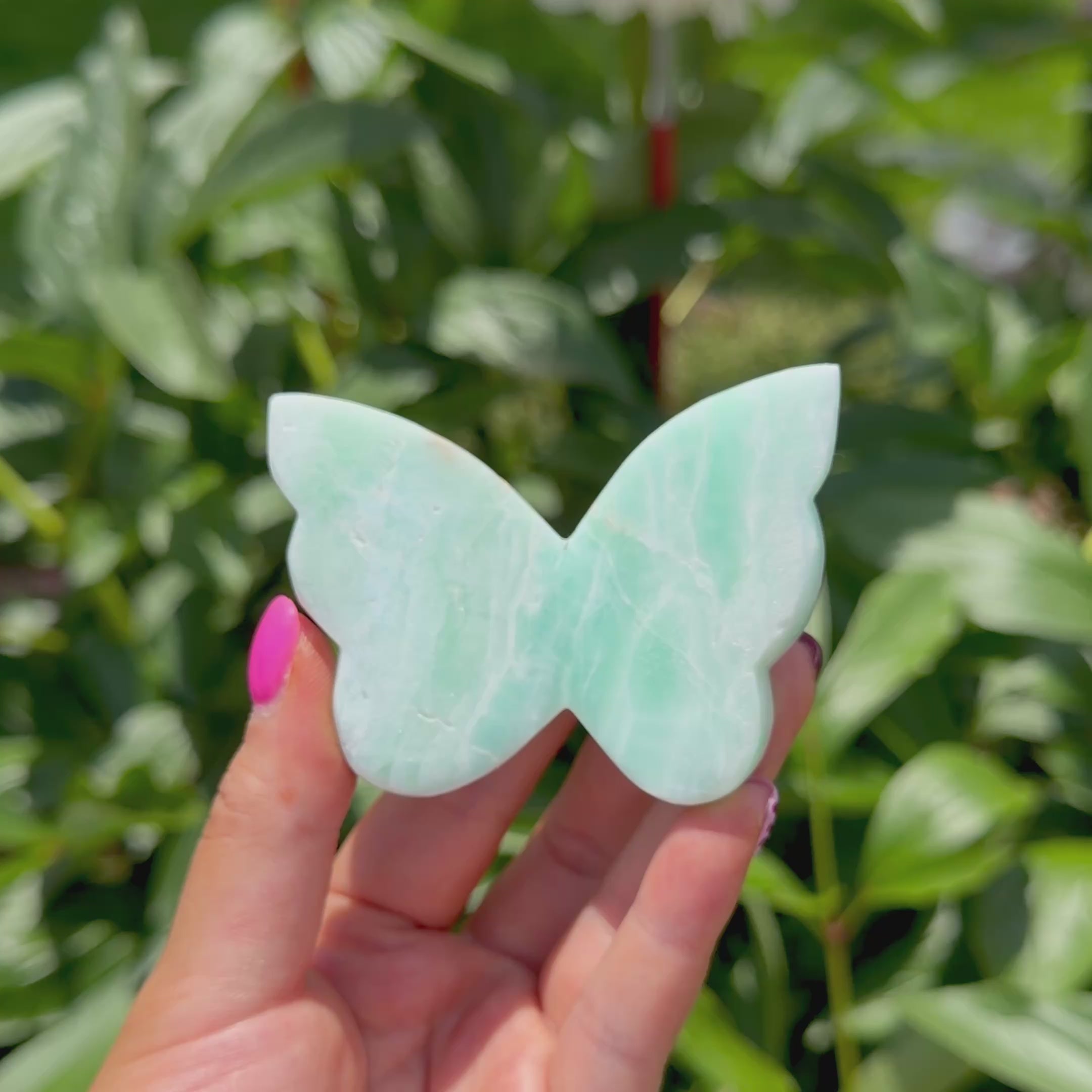 Caribbean Calcite Butterfly (Choose Your Own)