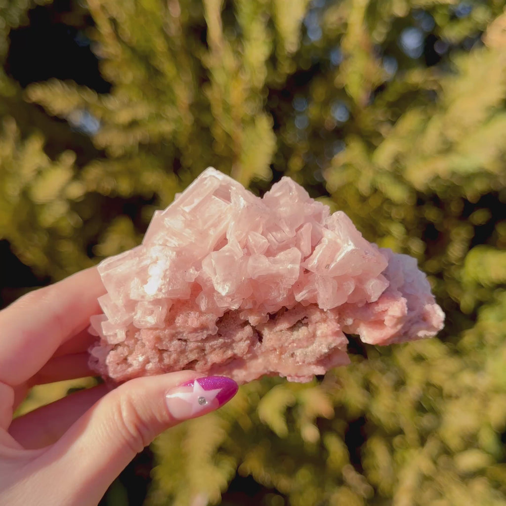 Pink Halite Crystal Cluster E
