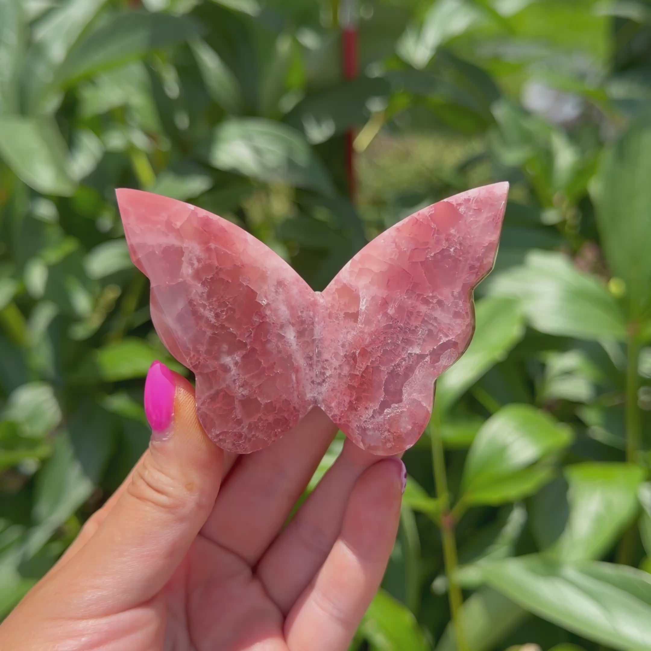Rose Calcite Butterfly (Choose Your Own)