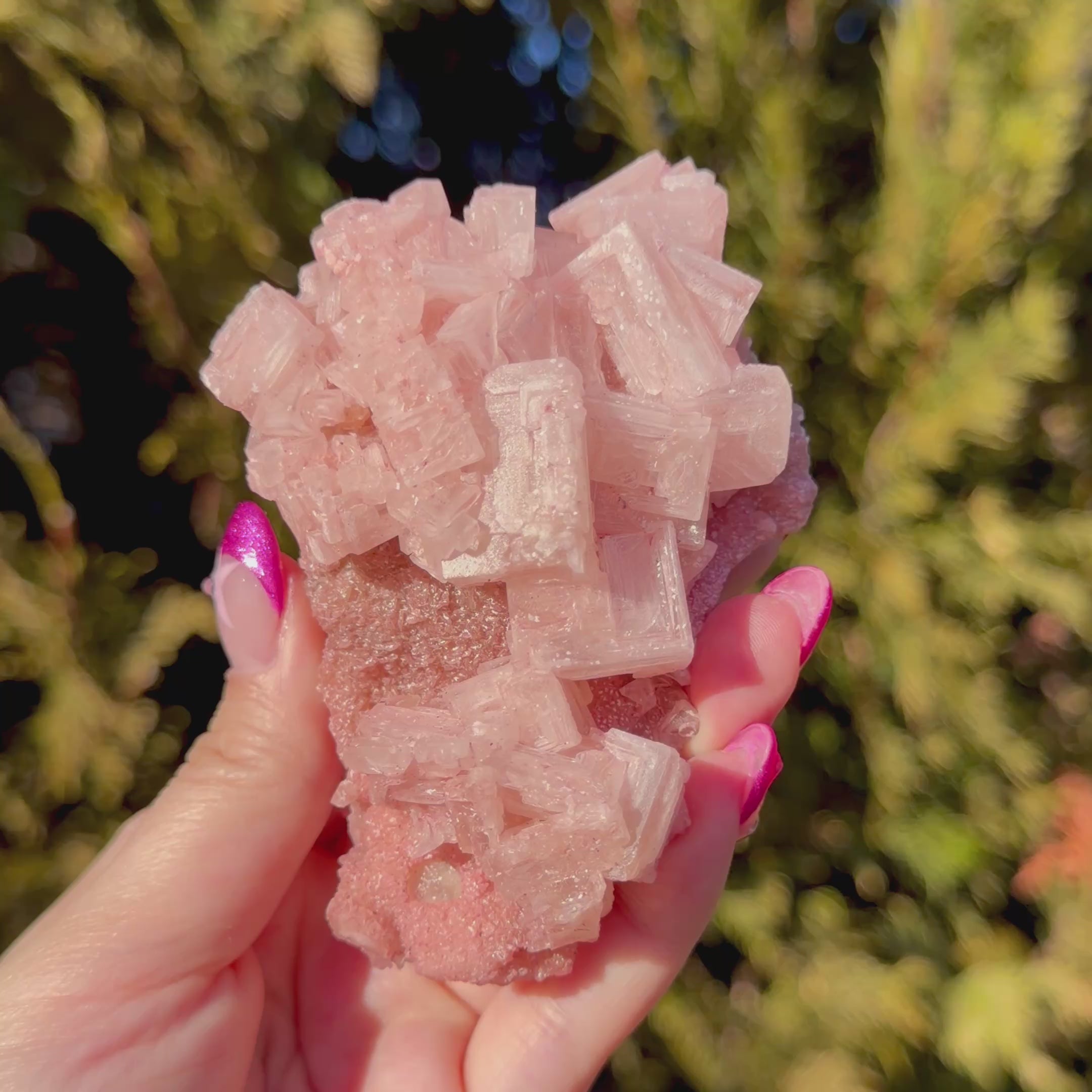 Pink Halite Crystal Cluster G