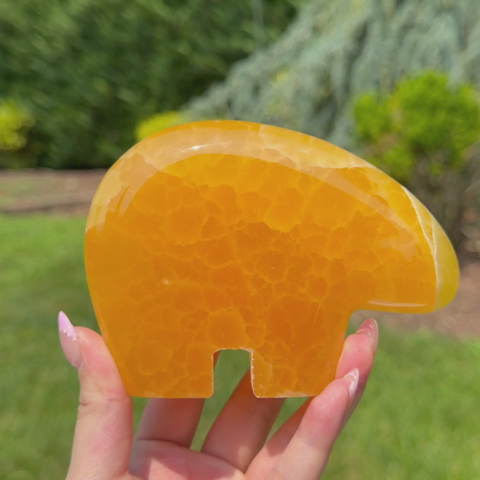 Honey Calcite Statement Bear (Choose Your Own)