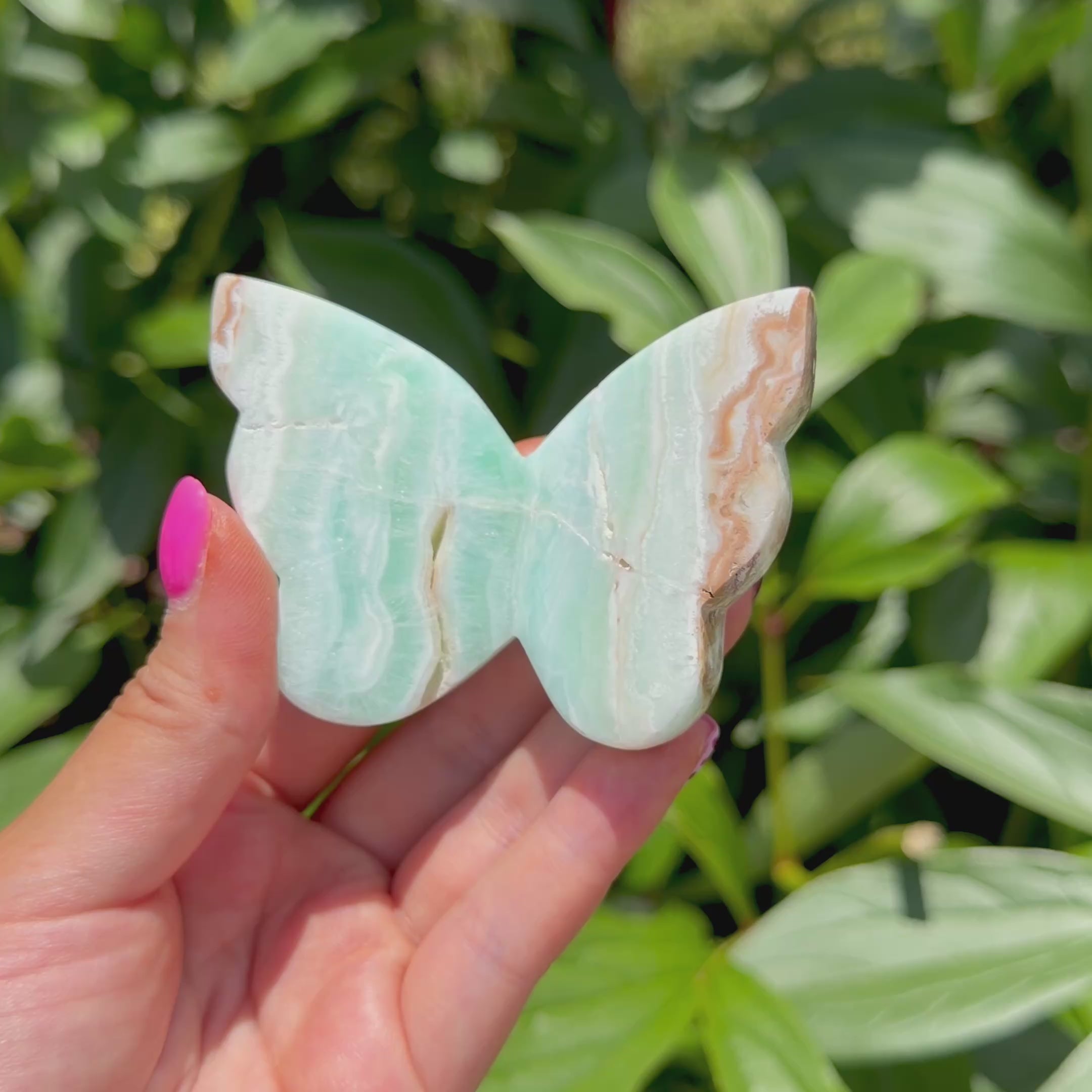 Caribbean Calcite Butterfly (Choose Your Own)