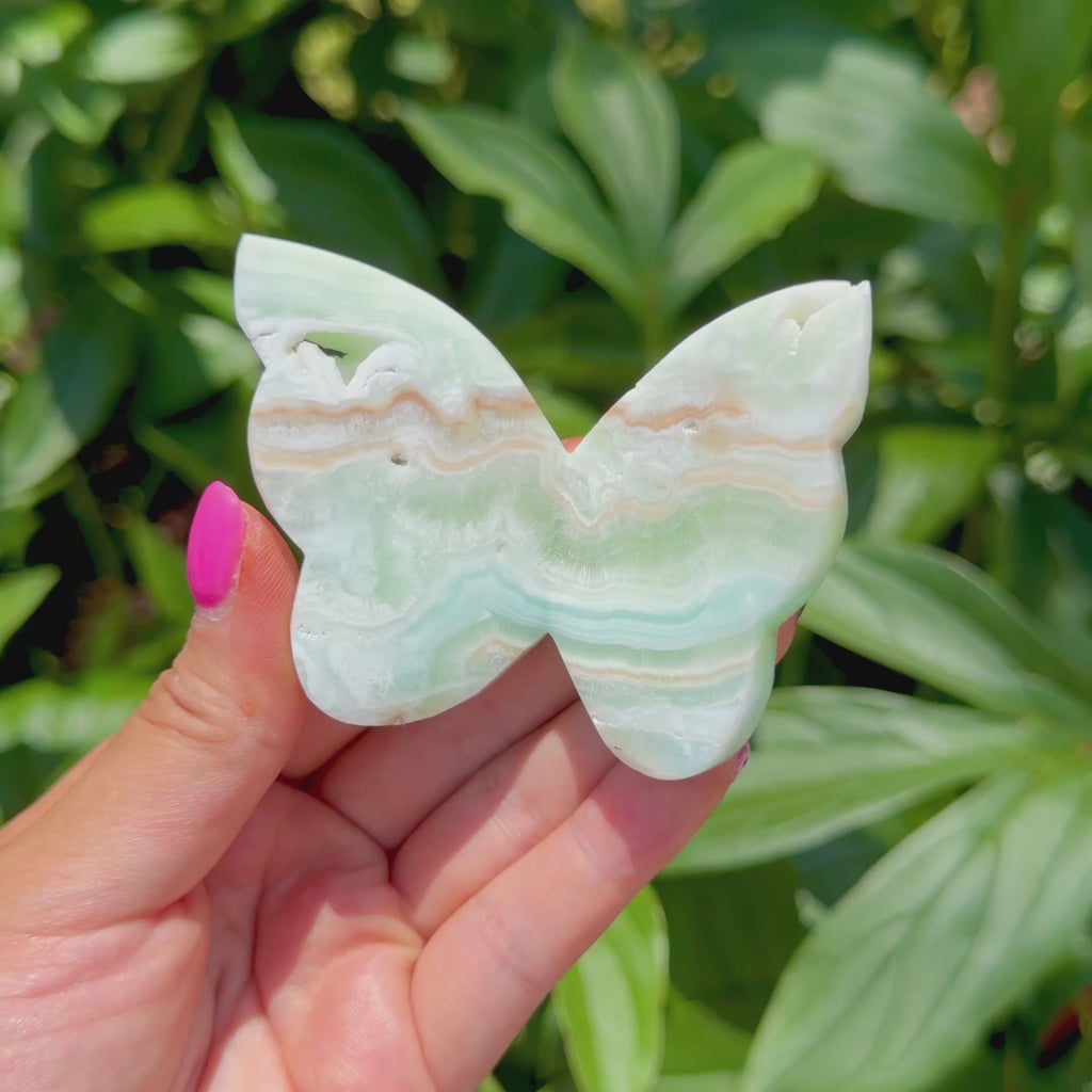 Caribbean Calcite Butterfly (Choose Your Own)