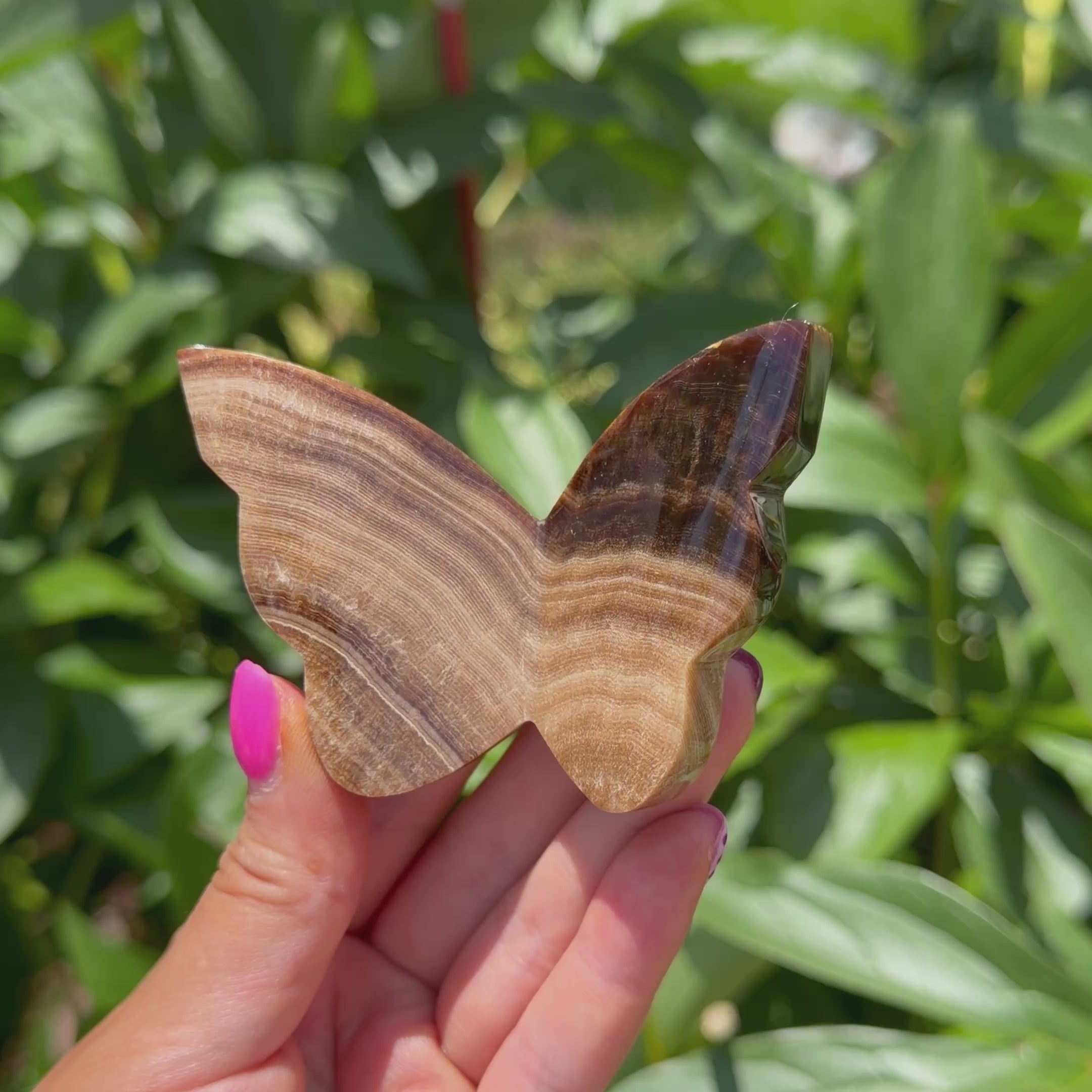 Chocolate Calcite Butterfly (Choose Your Own)
