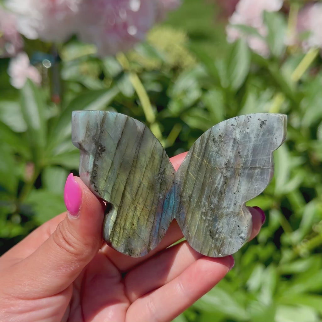 Labradorite Butterfly (Choose Your Own)