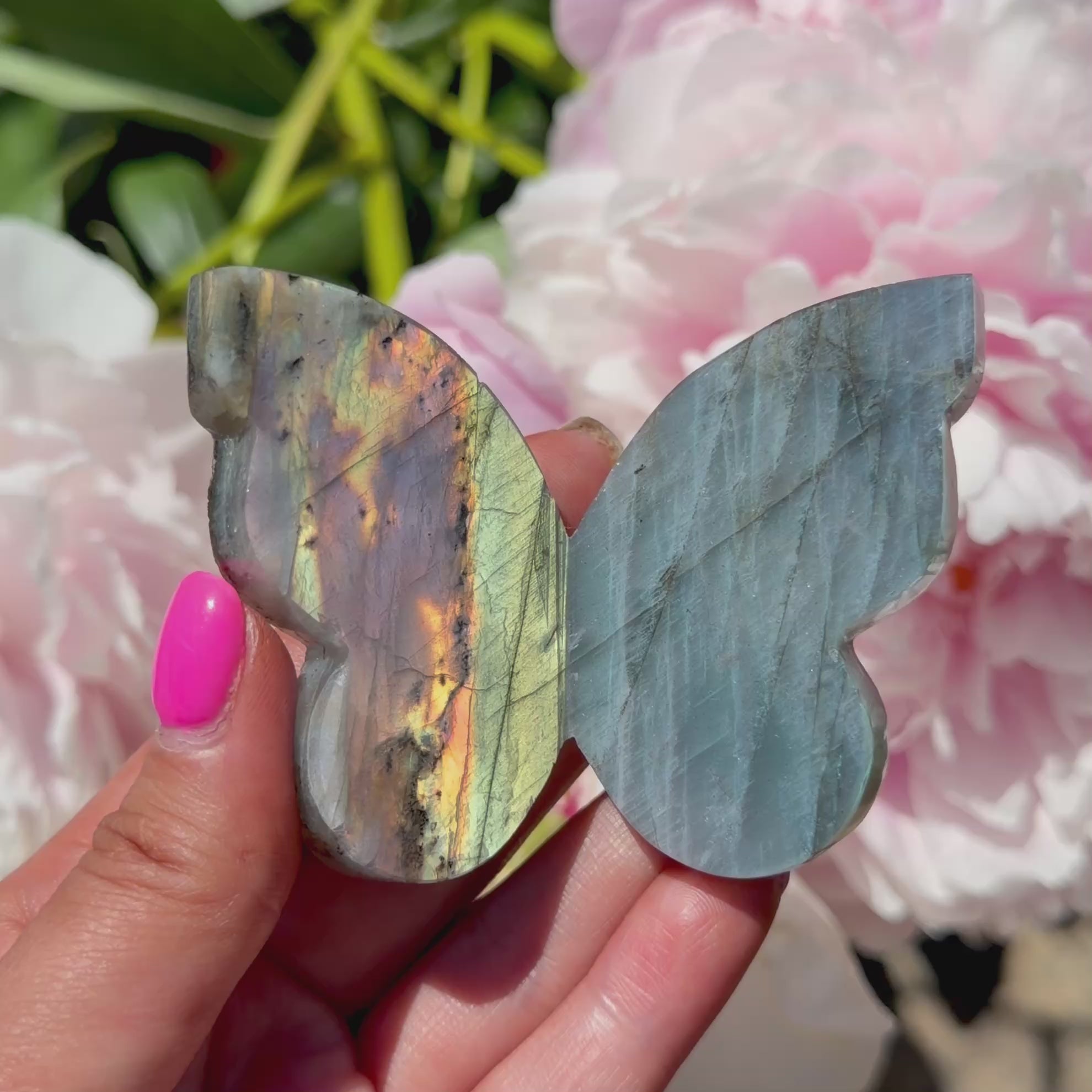 Labradorite Butterfly (Choose Your Own)