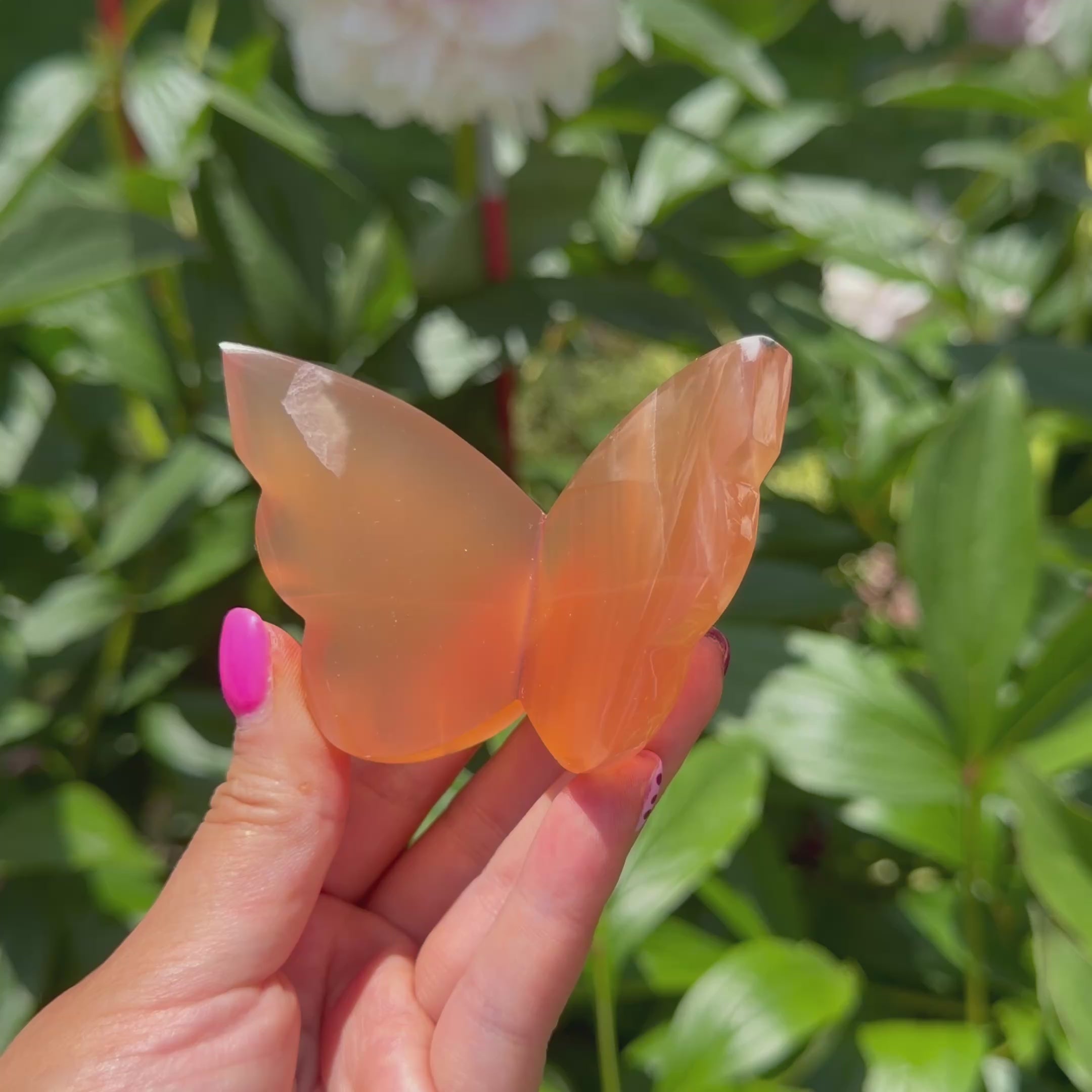 Honey Calcite Butterfly (Choose Your Own)