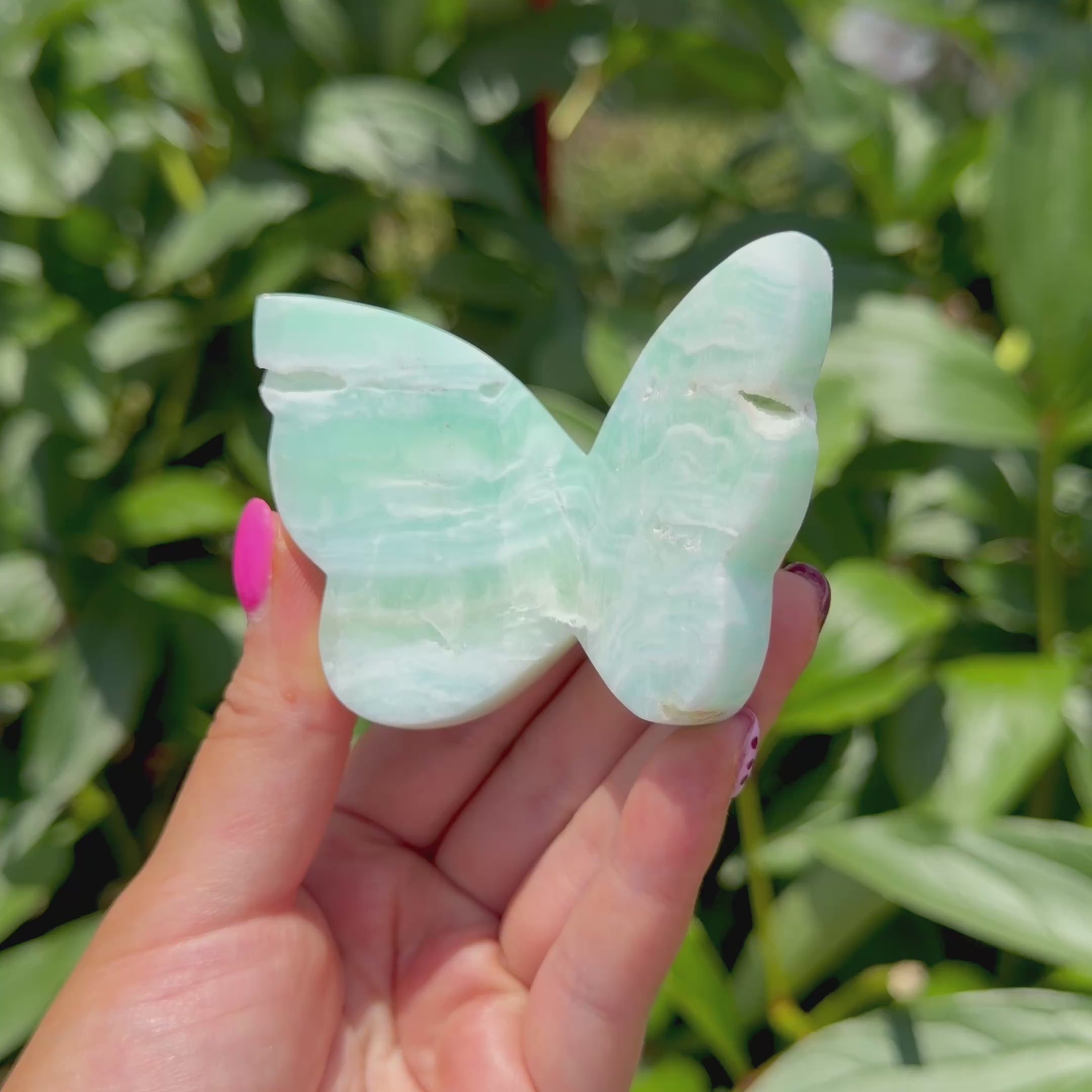 Caribbean Calcite Butterfly (Choose Your Own)