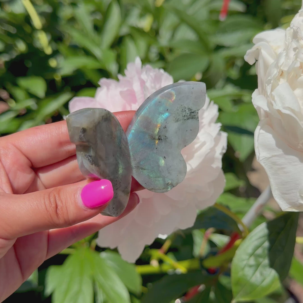 Labradorite Butterfly (Choose Your Own)
