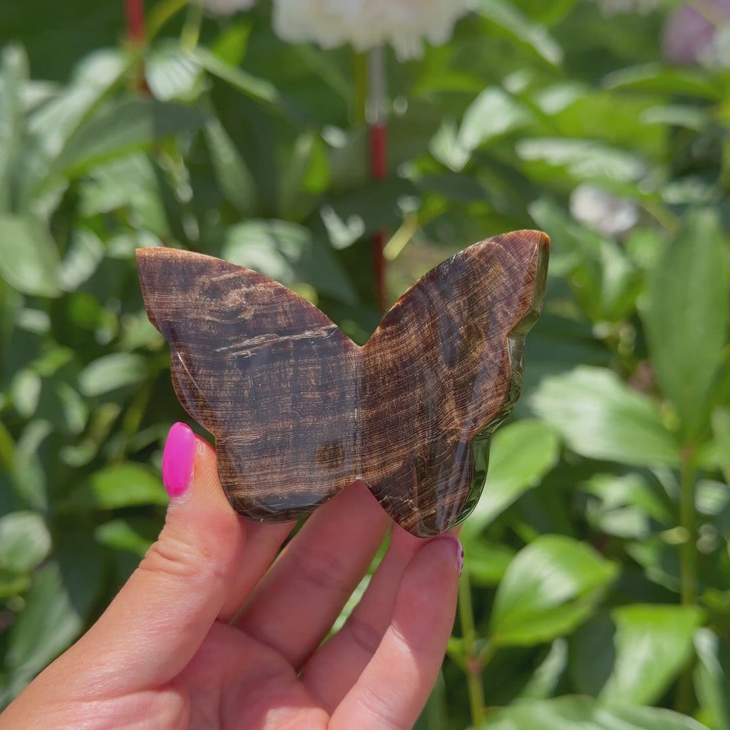 Chocolate Calcite Butterfly (Choose Your Own)