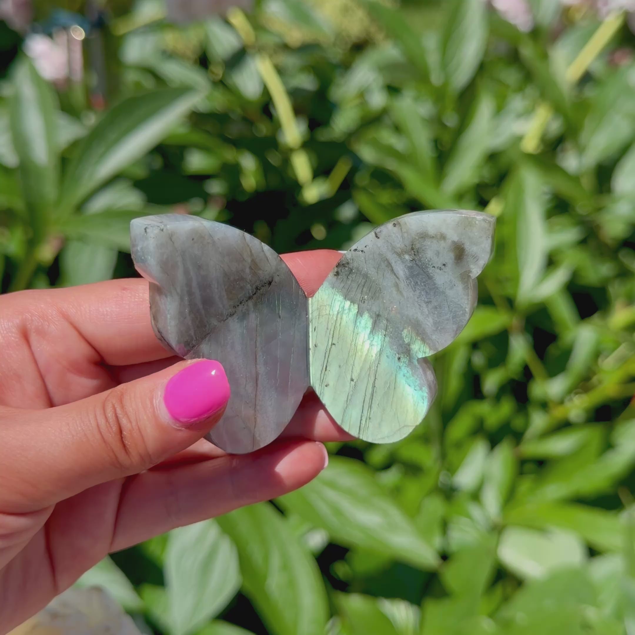 Labradorite Butterfly (Choose Your Own)