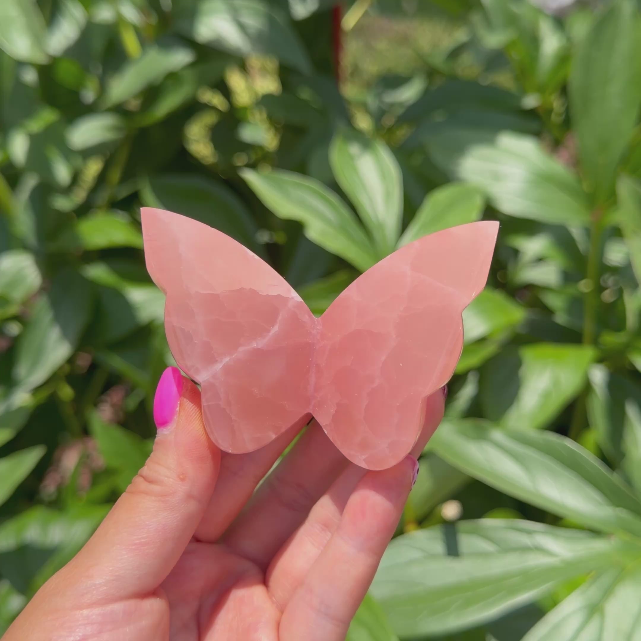 Rose Calcite Butterfly (Choose Your Own)