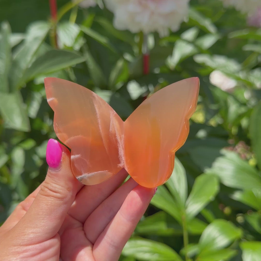 Honey Calcite Butterfly (Choose Your Own)