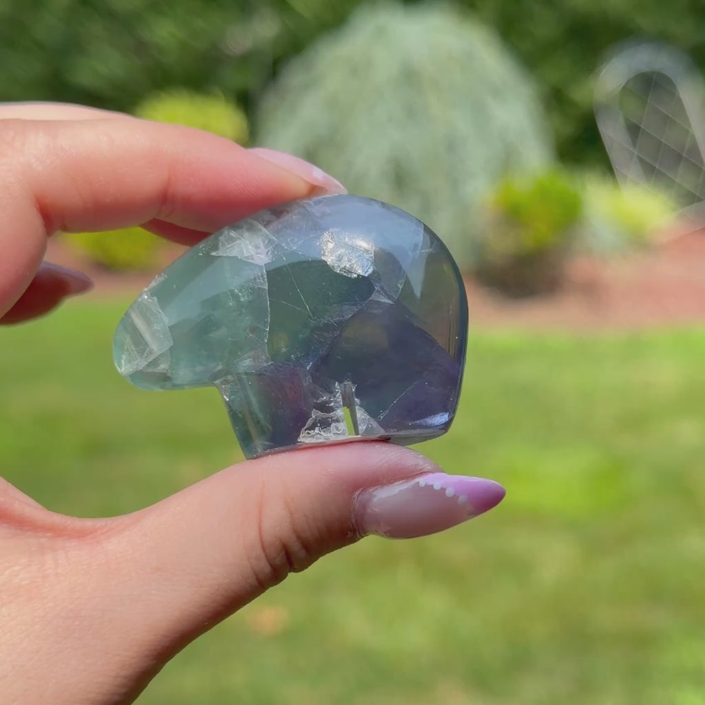 Durango Fluorite Mini Bear (Choose Your Own)