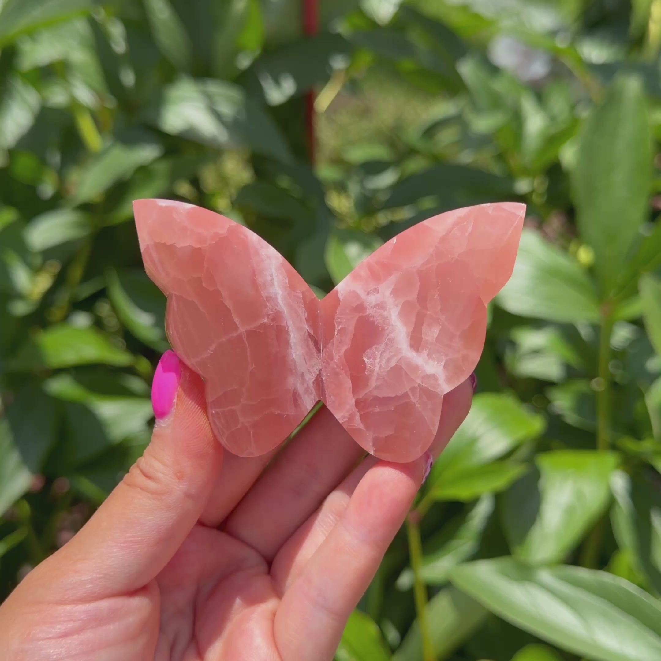 Rose Calcite Butterfly (Choose Your Own)