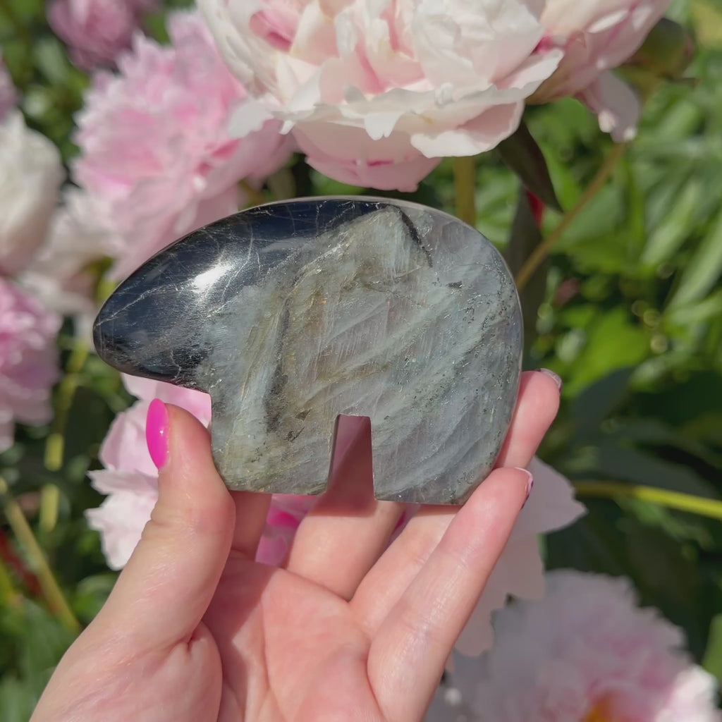 Labradorite Bears (Choose Your Own)